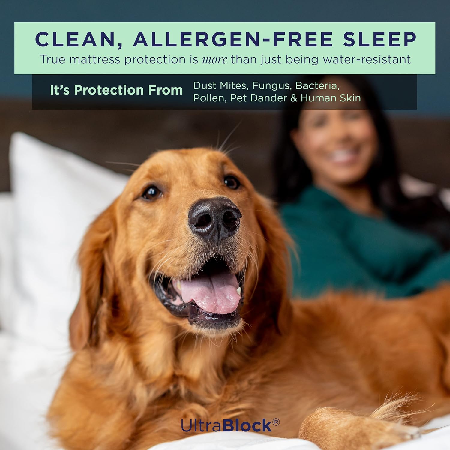 Protector de colchón impermeable UltraBlock Premium, protector de almohada impermeable, algodón suave con funda de toalla