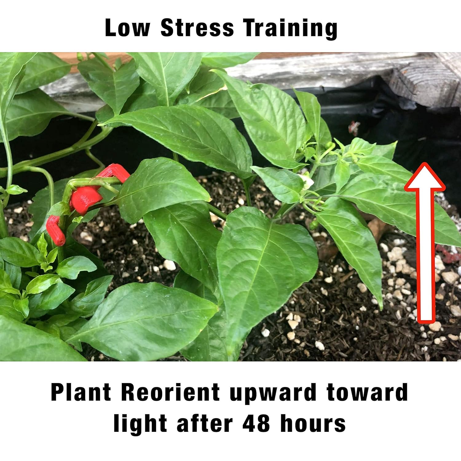 HMG 90 Degree Plant Benders for Low Stress Training (LST), No Stake Trellis, and Plant Training (30 Pack)