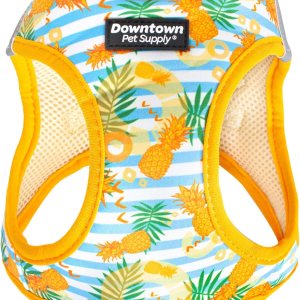 Downtown Pet Supply – Arnés ajustable para perro con chaleco acolchado, sin tirones, fácil de poner, para perros pequeños, medianos y grandes Downtown Pet Supply – Arnés ajustable para perro con chaleco acolchado, sin tirones, fácil de poner, para perros pequeños, medianos y grandes