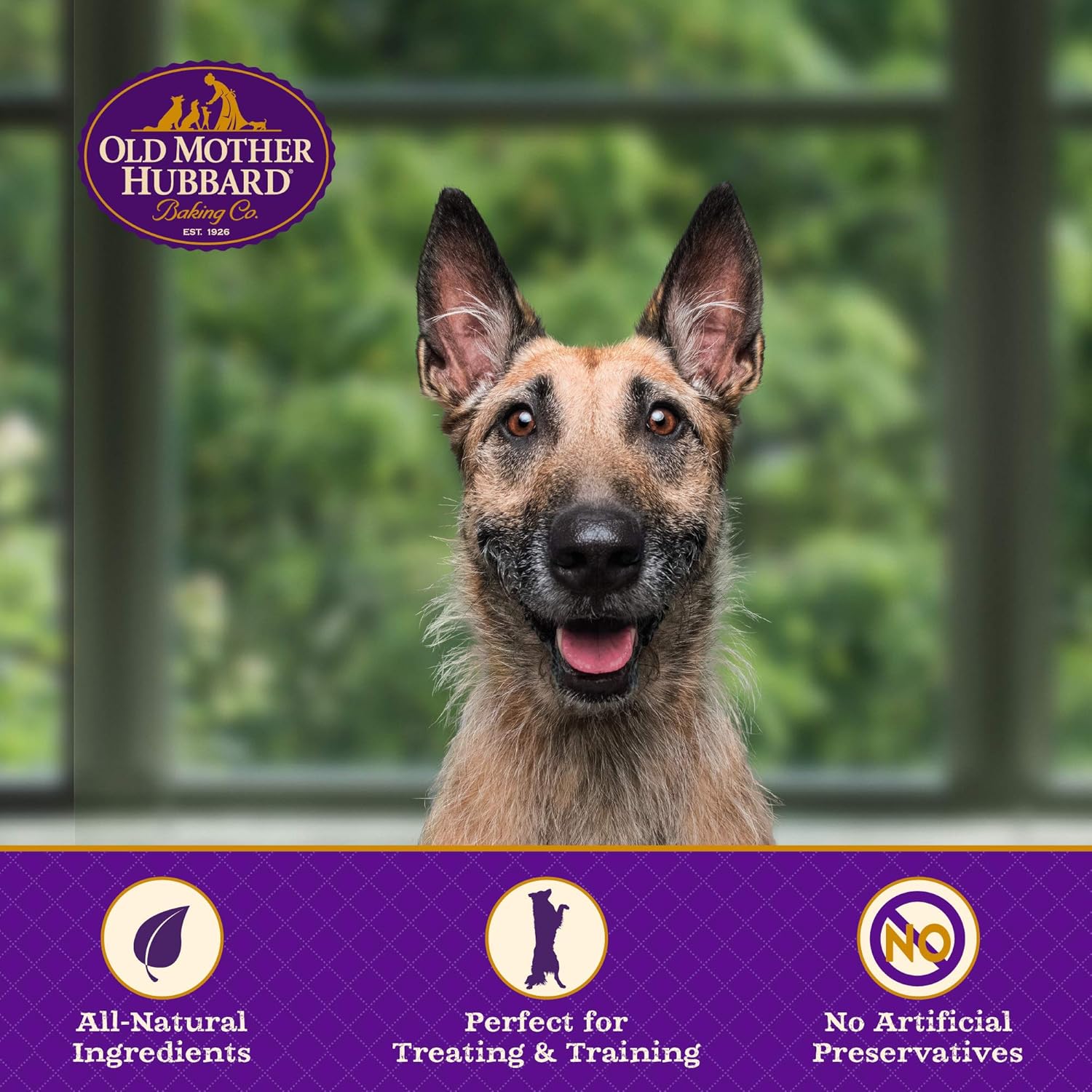Clásicos premios naturales de perro Old Mother Hubbard Crunchy