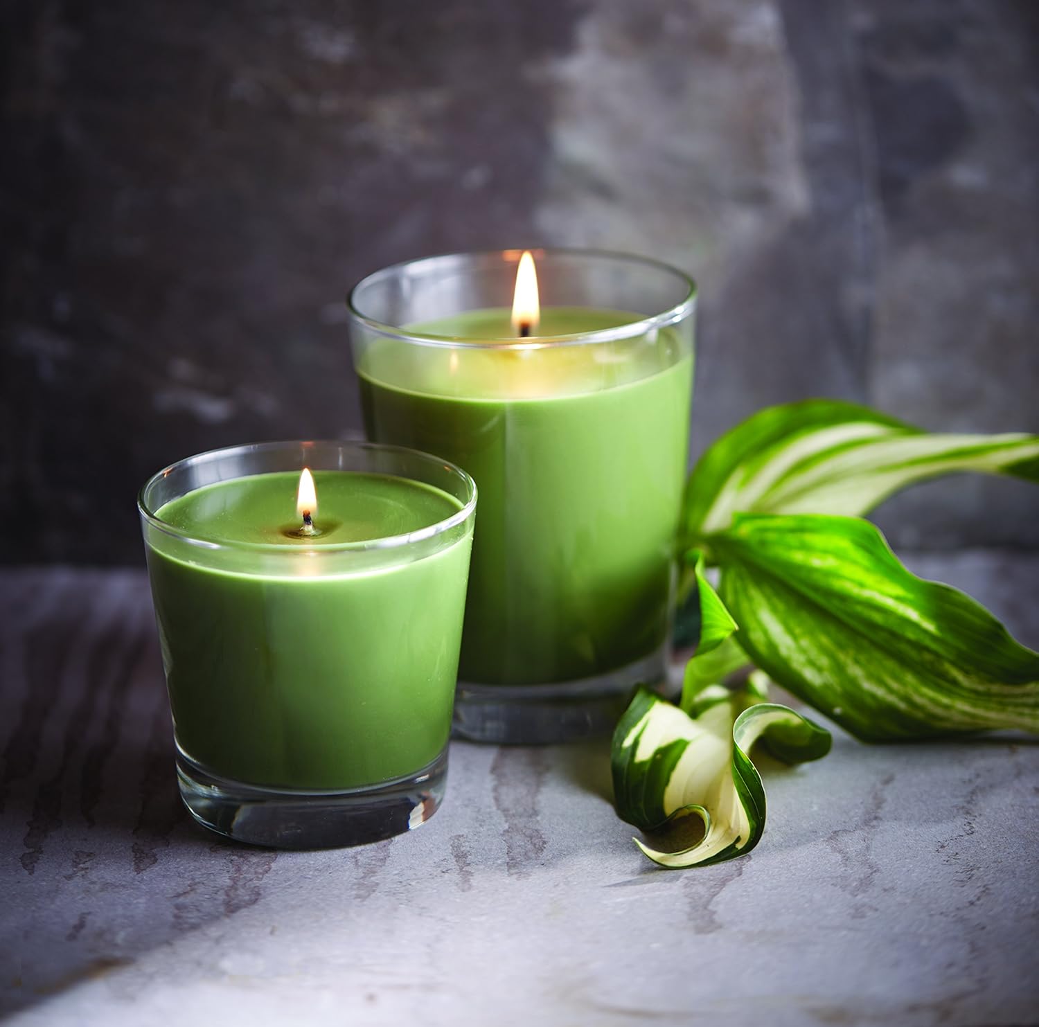 Vela de mezcla de cera de abejas perfumada de panal, Hosta grande