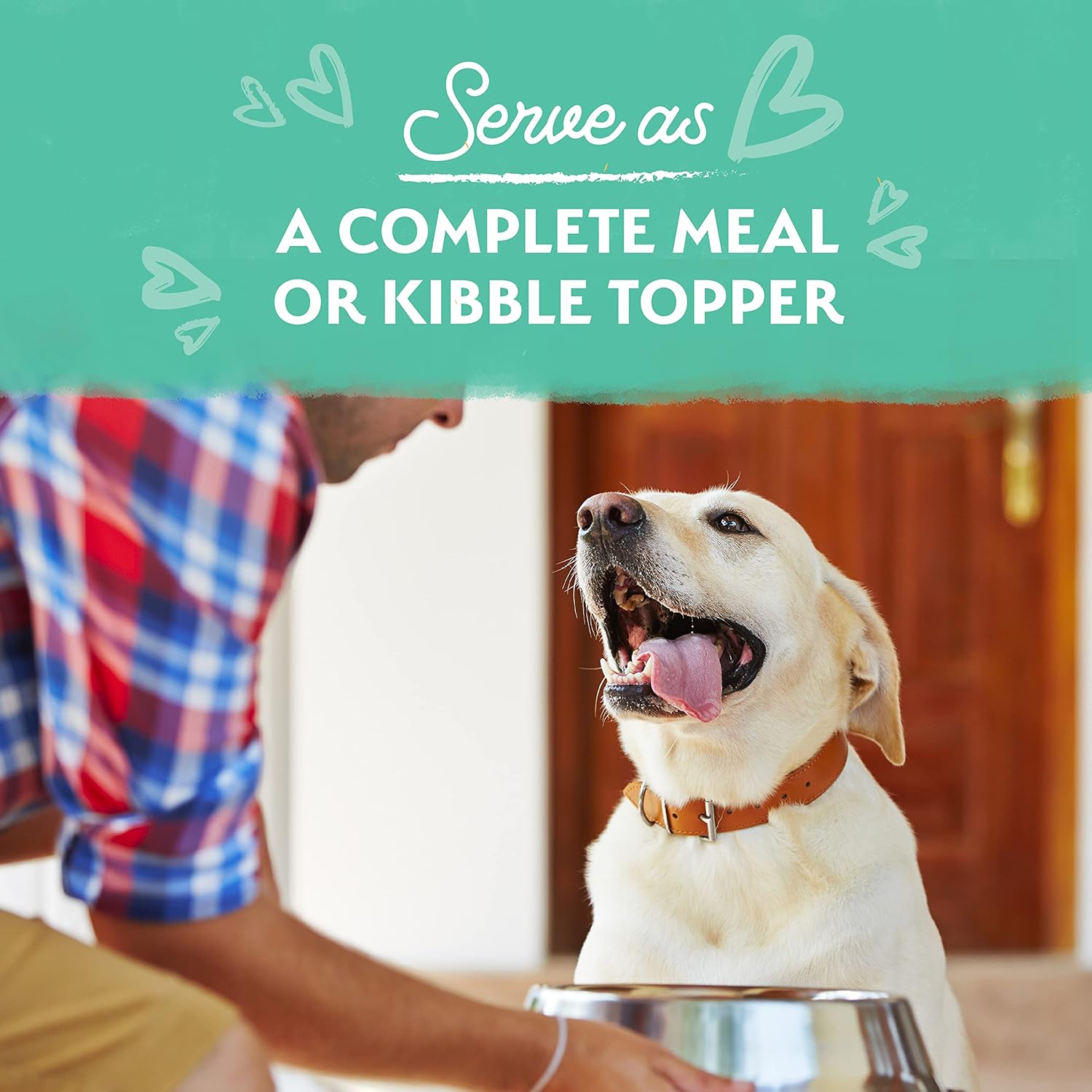 Natural Balance Limited Ingredient – Alimento húmedo para perros adultos sin granos, pollo con zanahorias y guisantes verdes, 11 onzas (paquete de