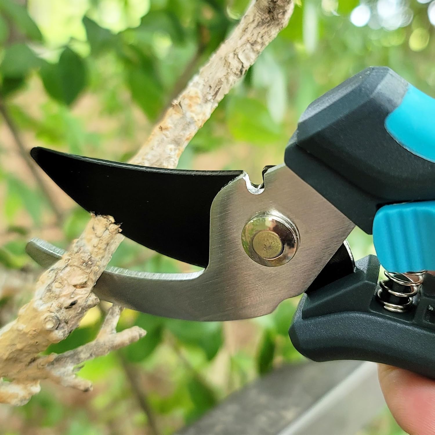 PortableAnd Tijeras de podar de 58 pulgadas para jardinería, ligeras y pequeñas, bloqueo de fácil apertura, removedor de espinas y cortador de