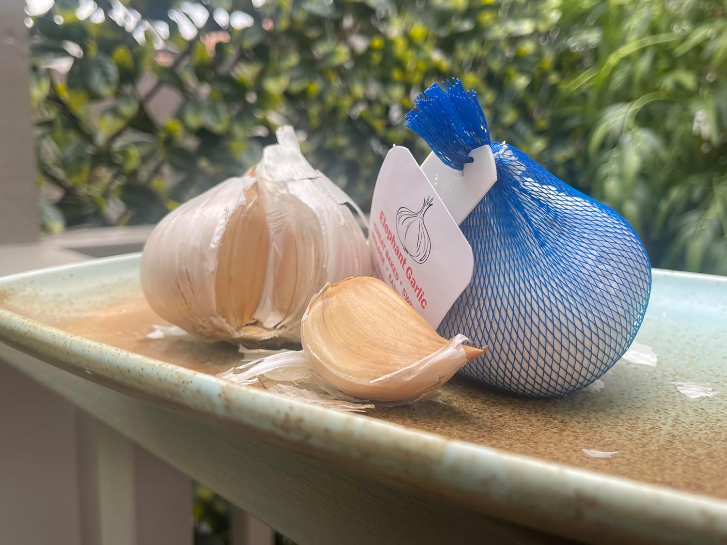 Ajo elefante. Cultivado en California. 2 bombillas enormes. Delicioso sabor más suave, más suave. Ideal para cocinar, comer y plantar. Grandes