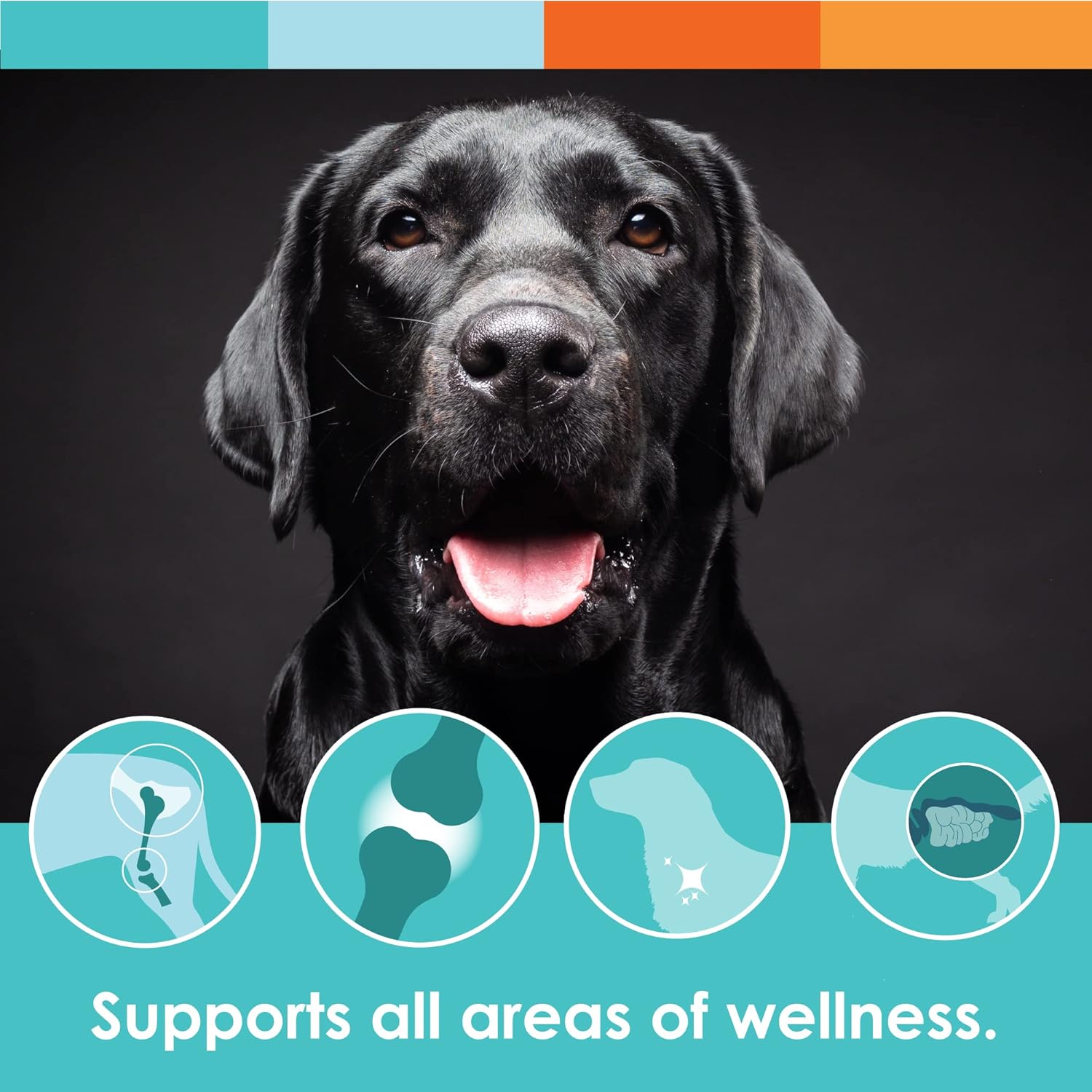 Vitaminas para perros con probióticos y enzimas Array Soft Chews (90 CT)  Suplemento multifuncional trata con apoyo digestivo