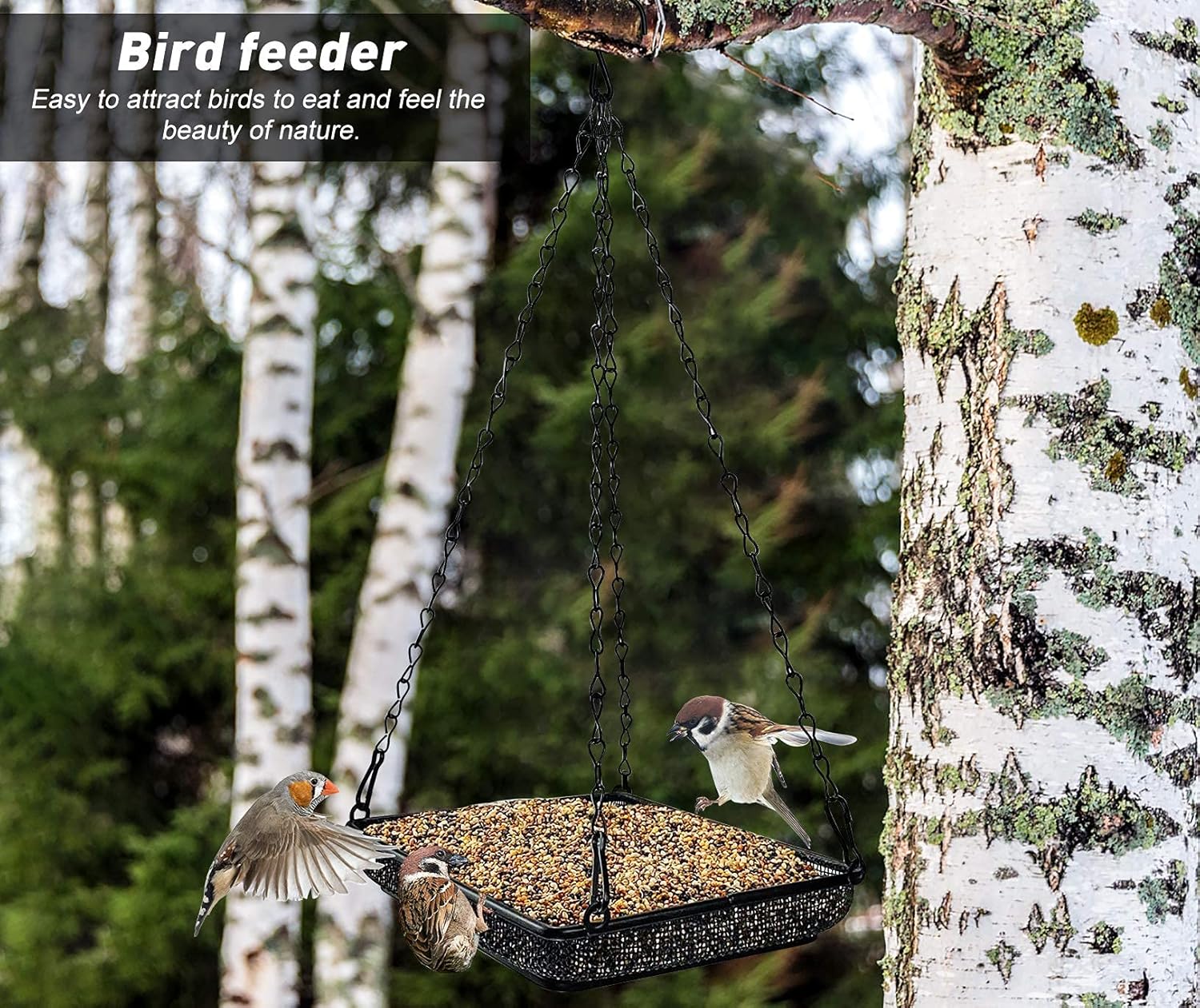 MIXXIDEA Bandeja colgante para pájaros con plataforma de malla metálica con cadenas duraderas para jardín al aire libre, ideal para atraer pájaros