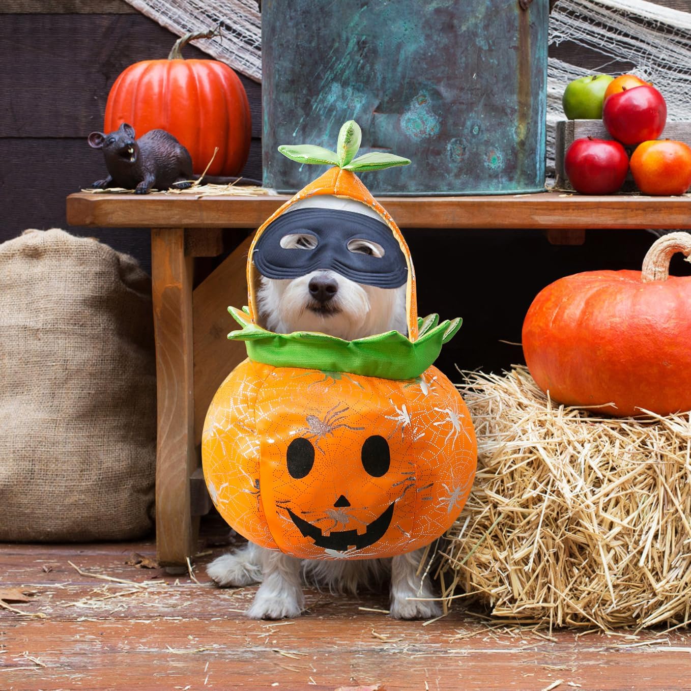 Otunrues Disfraz de calabaza para perro, gato, Halloween, Chucky, trajes de cosplay para mascotas, ropa divertida para mascotas, ropa linda para