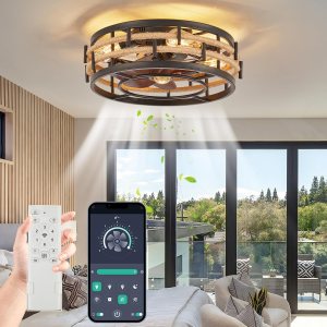 WINJECEI Ventilador de techo enjaulado de 18 pulgadas con control remoto de luces, ventilador de techo rústico de montaje empotrado con motor WINJECEI Ventilador de techo enjaulado de 18 pulgadas con control remoto de luces, ventilador de techo rústico de montaje empotrado con motor