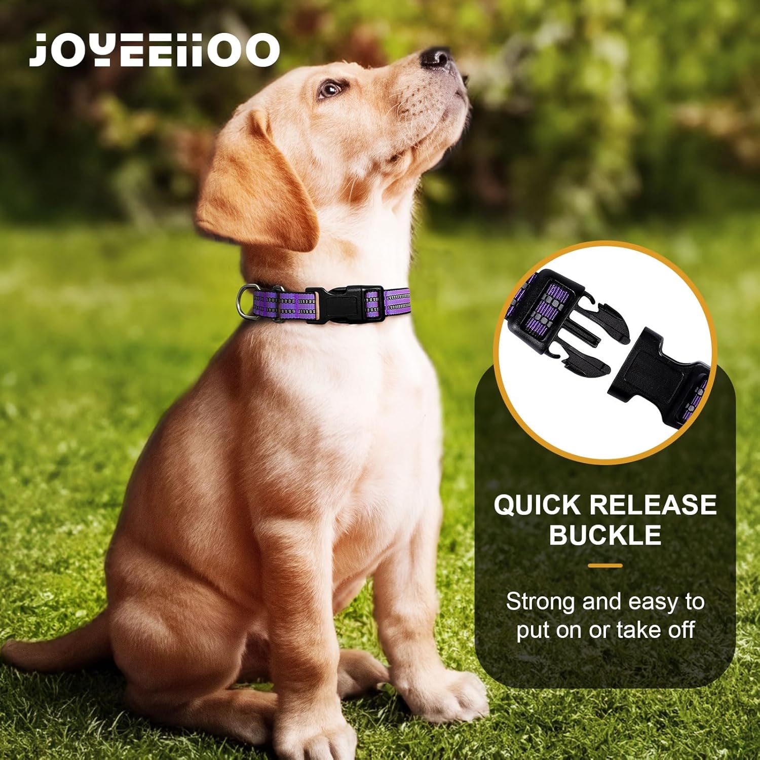 Martingale – Collar para perro, collar reflectante de nailon ajustable con hebilla. Sin tirones para perros pequeños, medianos y grandes. Evita que