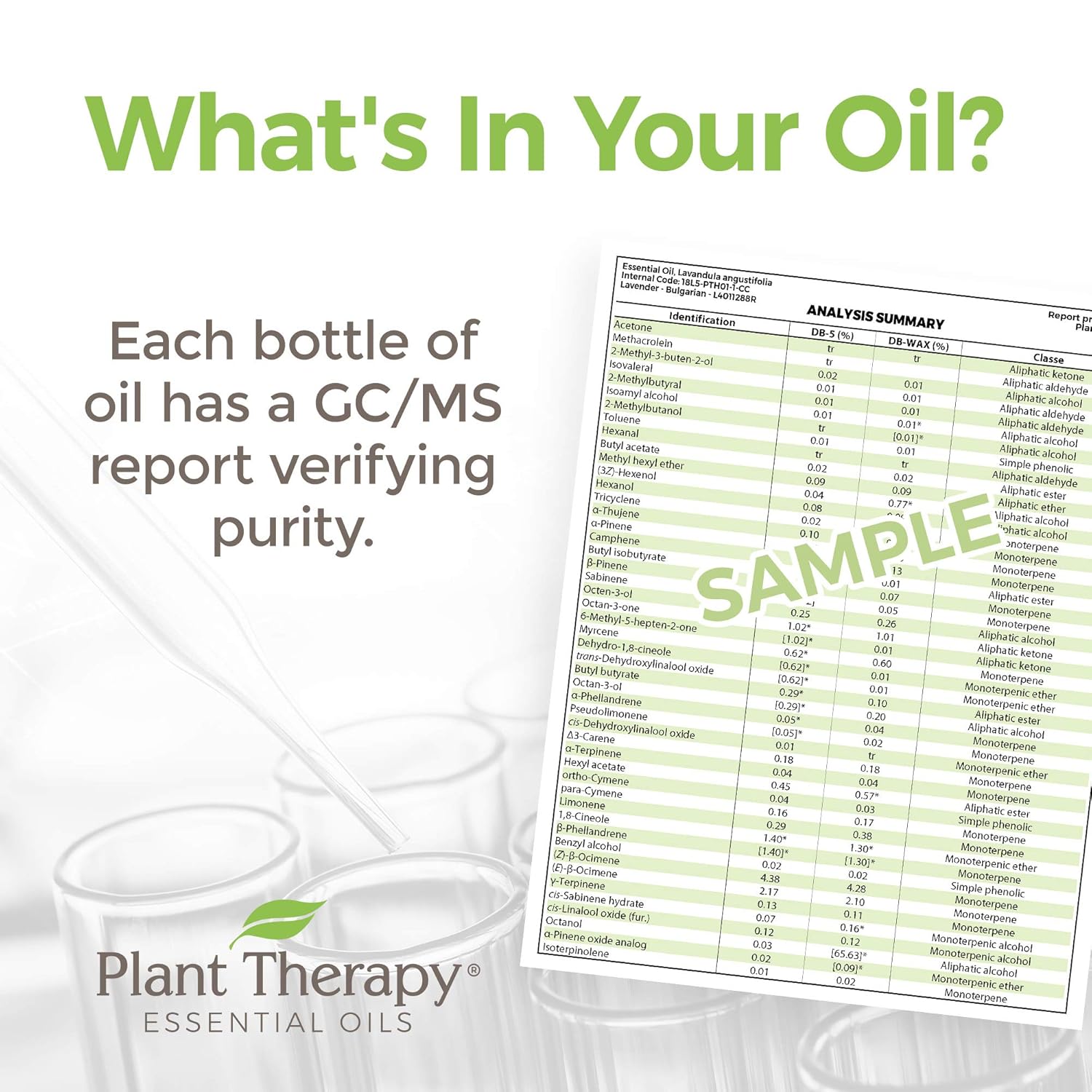 Plant Therapy Aceite esencial de menta verde 1.0 fl oz (1 oz) 100% puro, sin diluir, grado terapéutico
