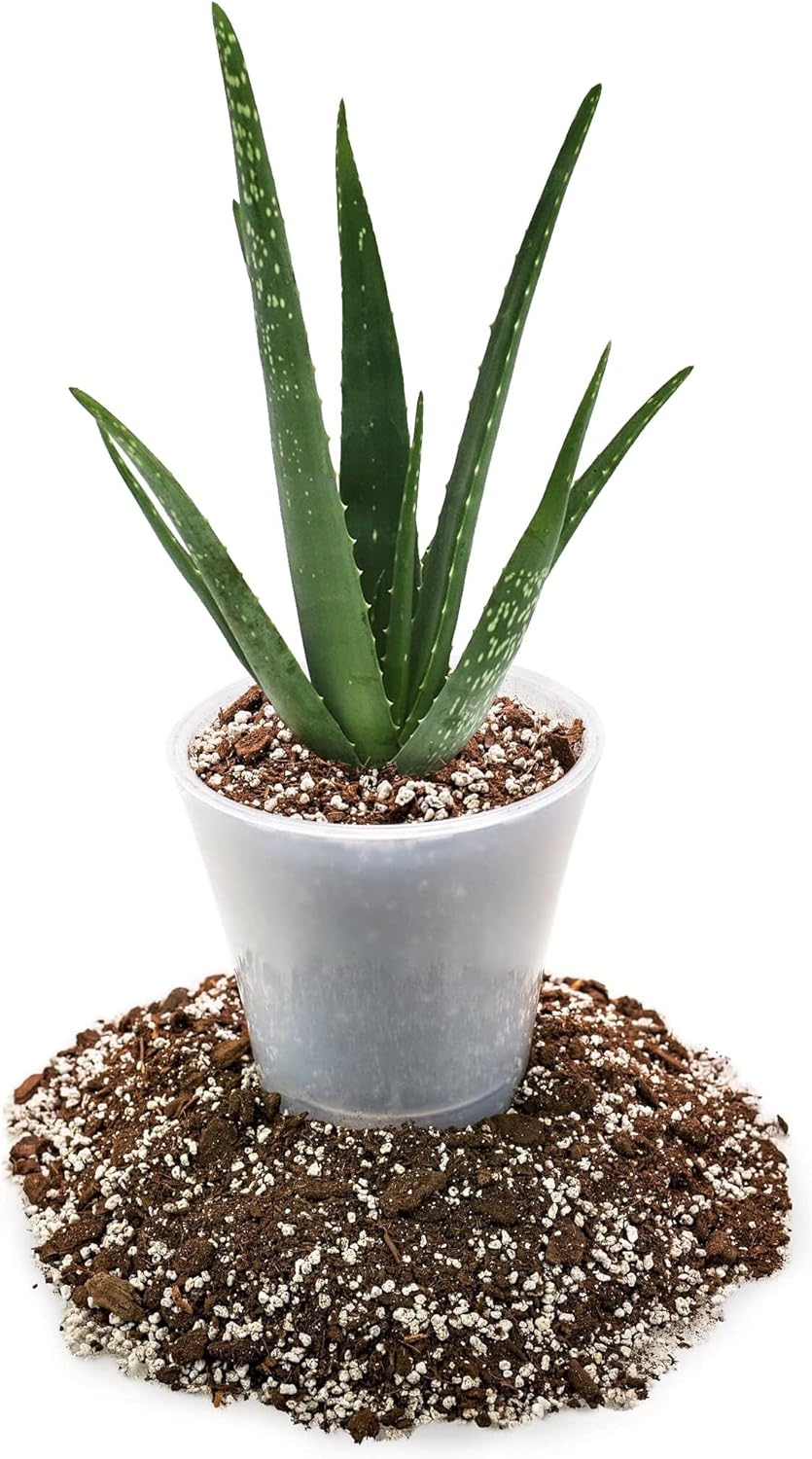 Mezcla de tierra para macetas de aloe vera prémium (bolsa de 5 cuartos de galón)