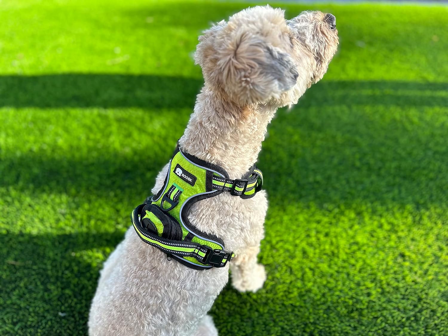 Arnés para perro  Sin tirones, reflectante, ajustable en 4 direcciones con soporte para bolsa de excrementos, máxima comodidad, suave, acolchado