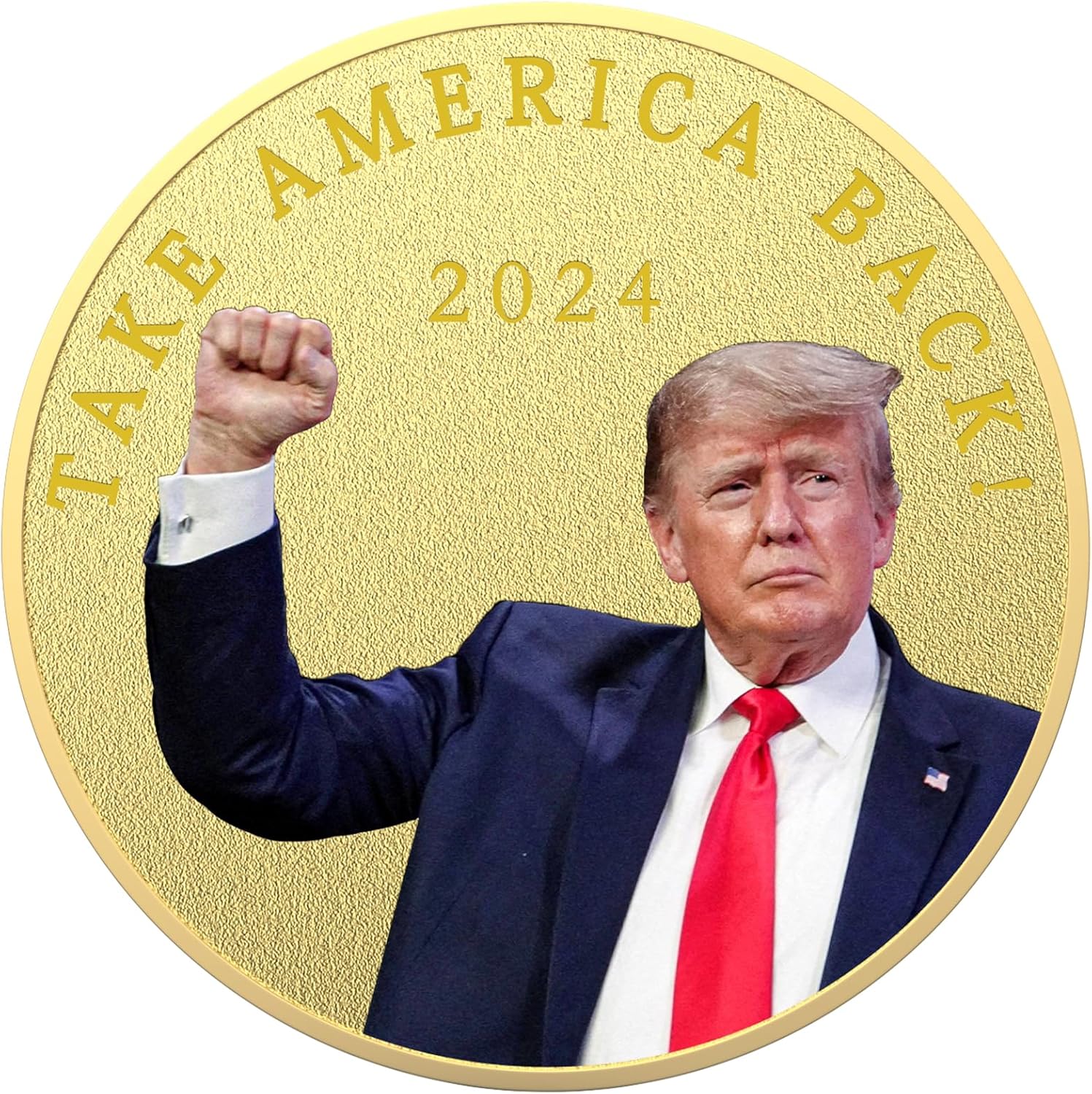 Moneda de desafío Trump 2024 Colección conmemorativa Campaña presidencial Regalos Patriotas Monedas chapadas en oro – Take America Back – Antorcha