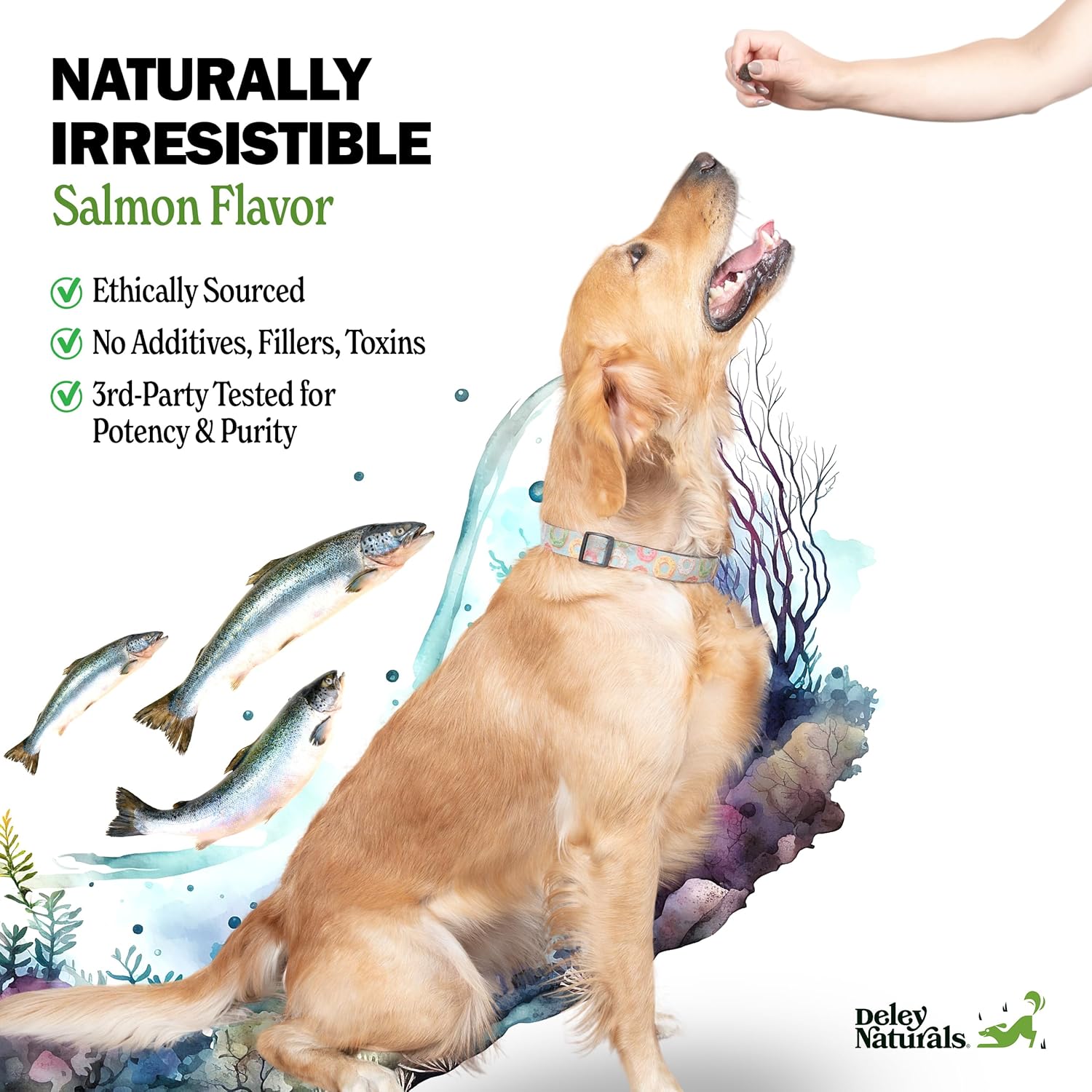 Deley Naturals Masticables Omega para la piel y el pelaje, aceite de pescado Omega 3 con DHA y EPA, biotina, colágeno, vitaminas C, E y zinc,