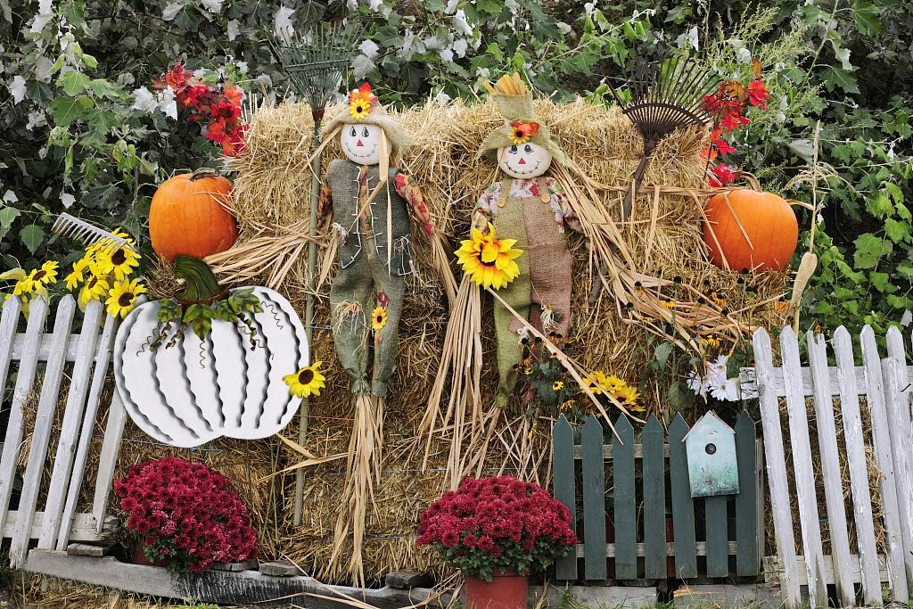 Morning View Estaca de metal con diseño de calabaza para jardín, decoración de otoño, decoración de calabazas rústicas para patio, decoración de