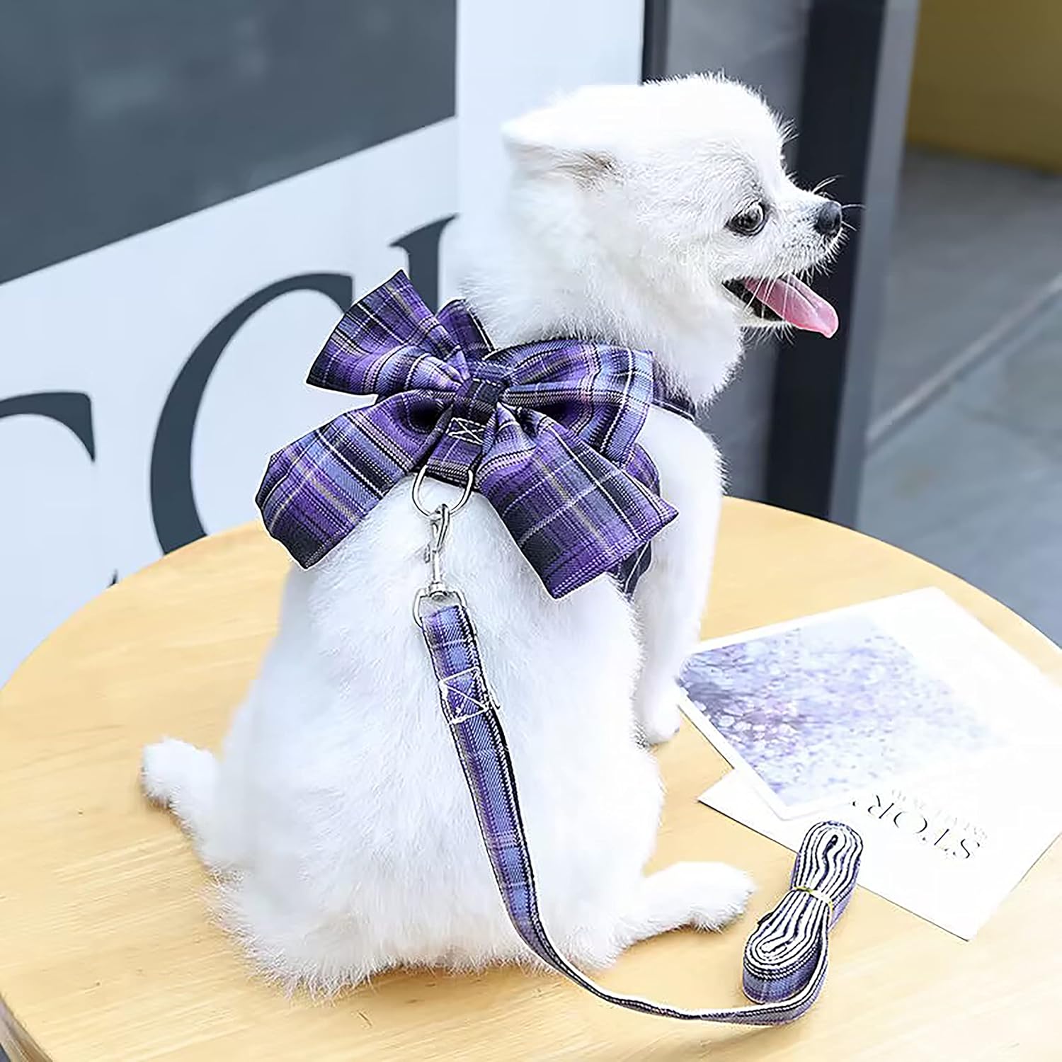 Petbuy Juego de arnés a cuadros para perro con lazo y correa, ropa para perro con anillo para correa para perros pequeños y niñas, ropa de conejo