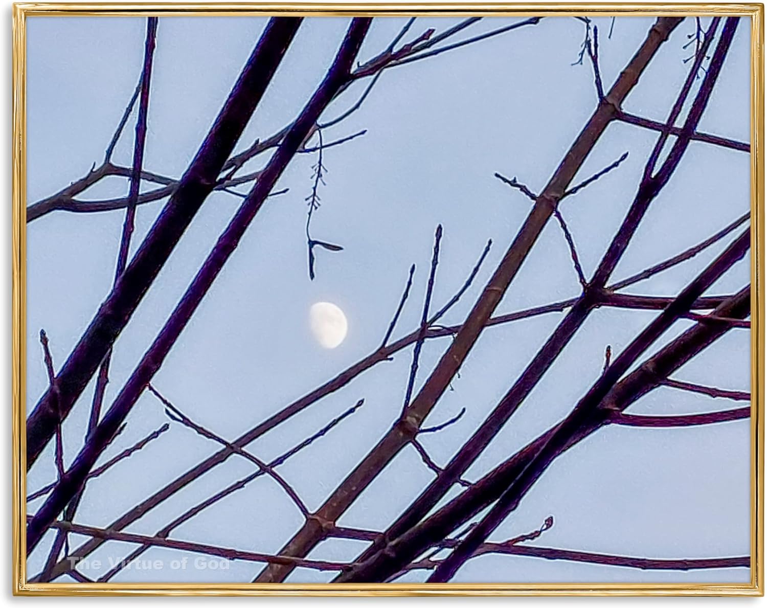 The Virtue of God Auténtica impresión de fotografía de naturaleza  Árbol y luna congelados de invierno  Lienzo horizontal sin marco moderno