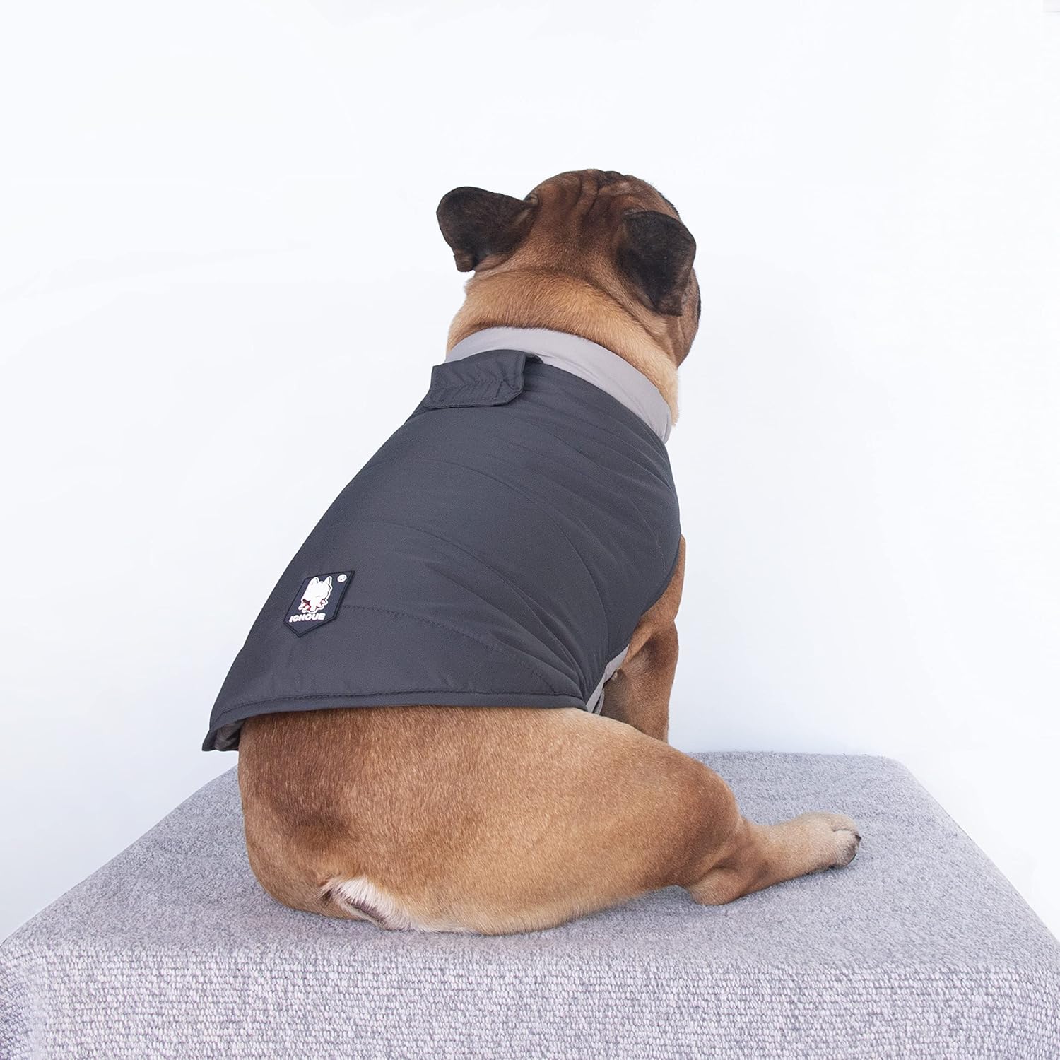 iChoue Abrigos de invierno de bulldog francés, chaquetas para perro, chalecos acolchados de algodón para Pug English Boston Terrier Pitbull –