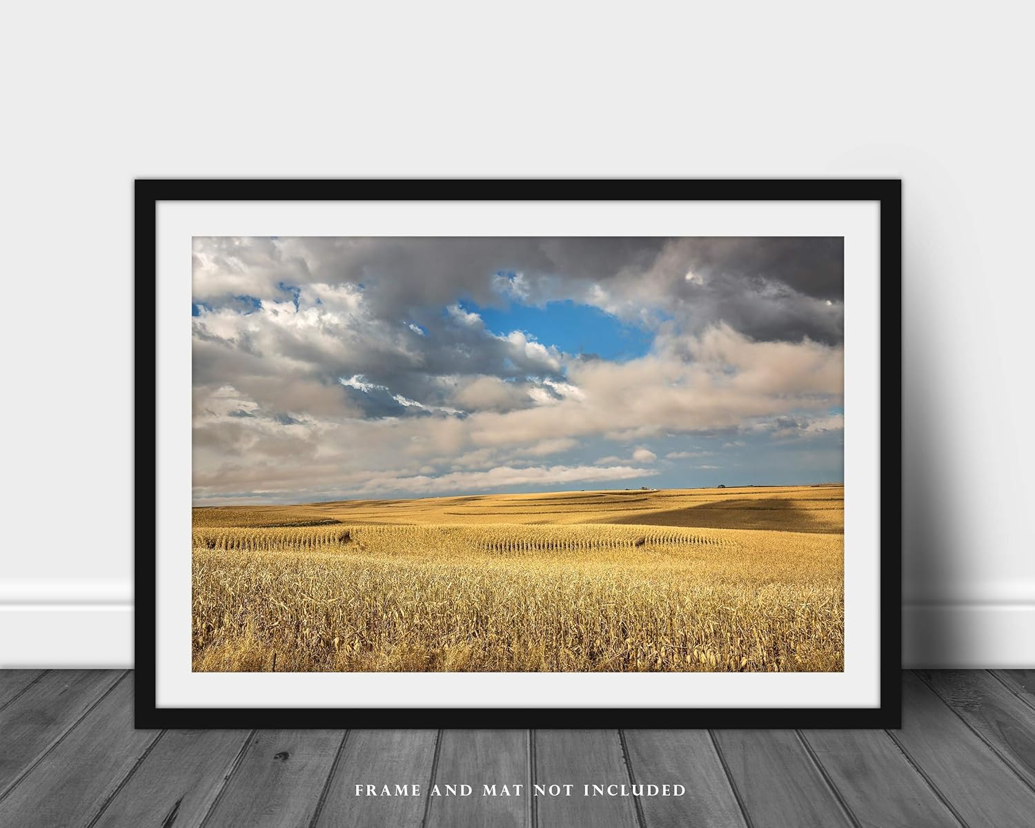Country Photography Print (Not Framed) Picture of Golden Terraced Corn Fields Under Dreamy Sky on Autumn Day in Iowa Farm Wall Art Farmhouse Decor