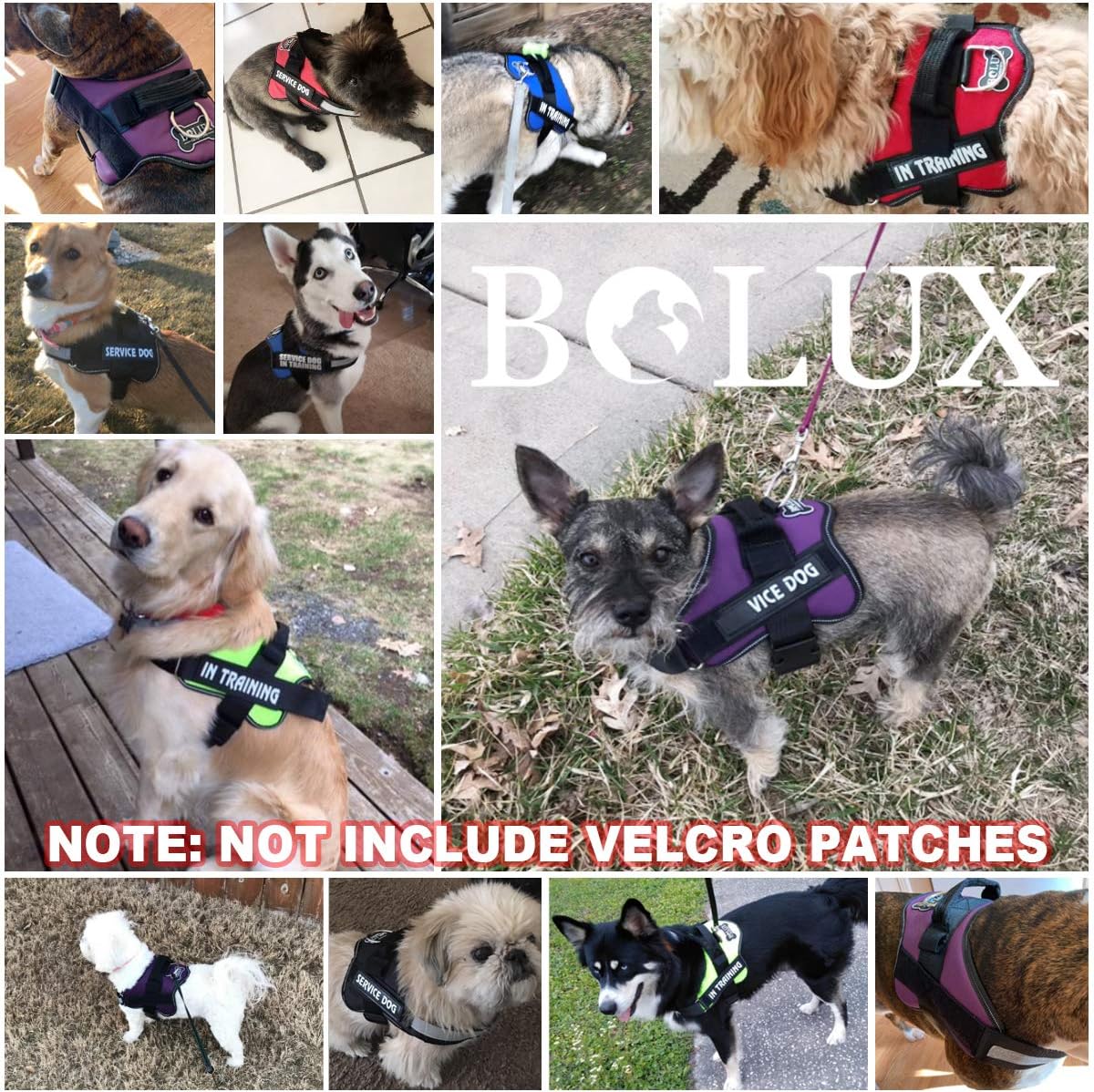 Bolux – Arnés para perro, reflejante y transpirable, ajustable, con asa, para sacarlo a pasear, no más tirones ni asfixia (verde, tamaño XG)