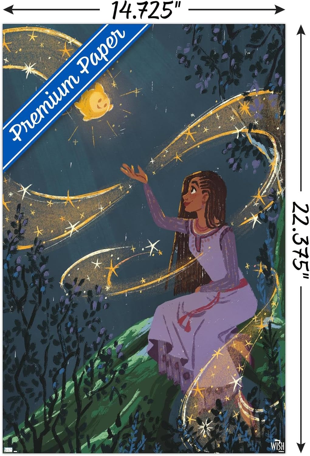 Trends International Disney Wish – Póster de collage 2 (Asha & Star), 14.72 x 22.37 pulgadas, versión premium sin marco