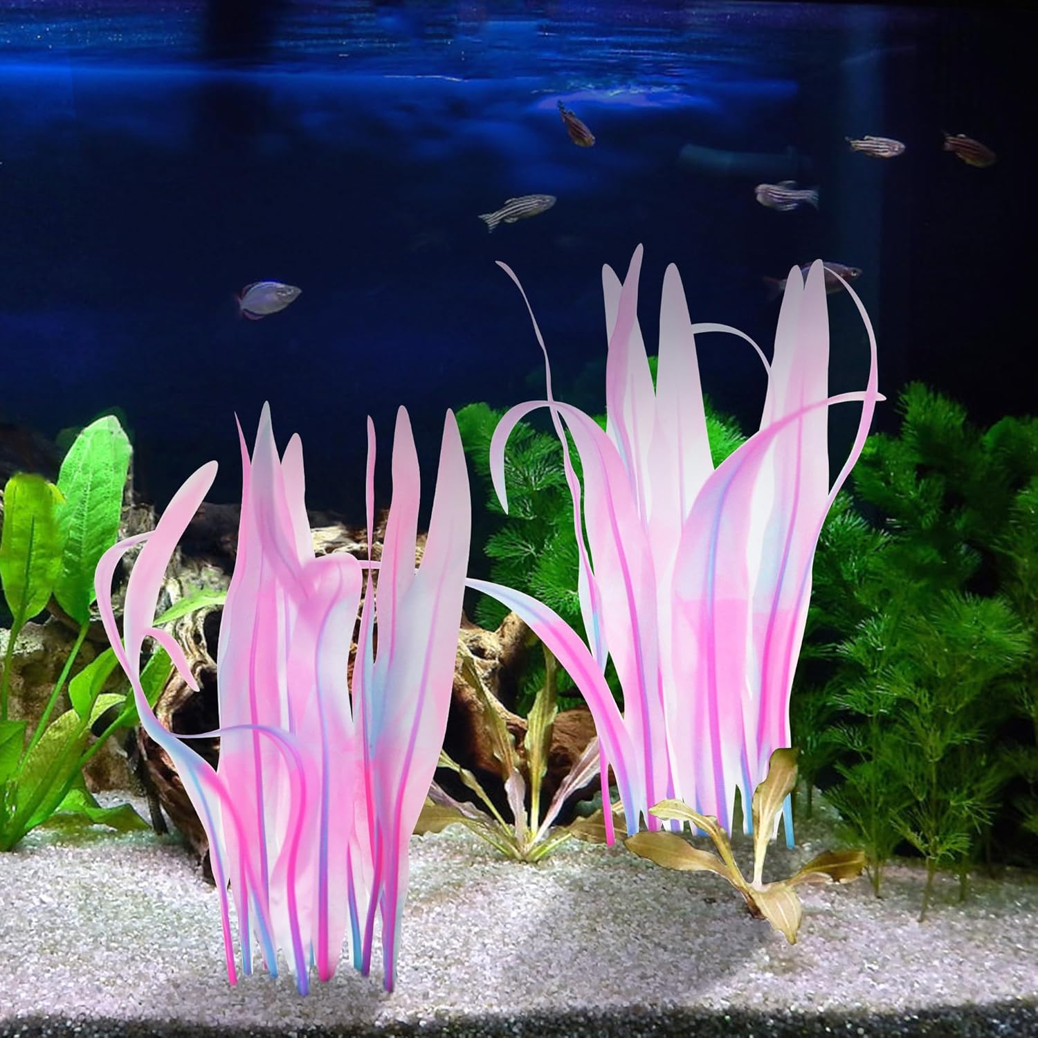 Kaiyuan Dynasty 2 piezas de plantas de plástico para decoración de acuario, pecera, plantas artificiales que brillan en acuario, algas acuáticas de