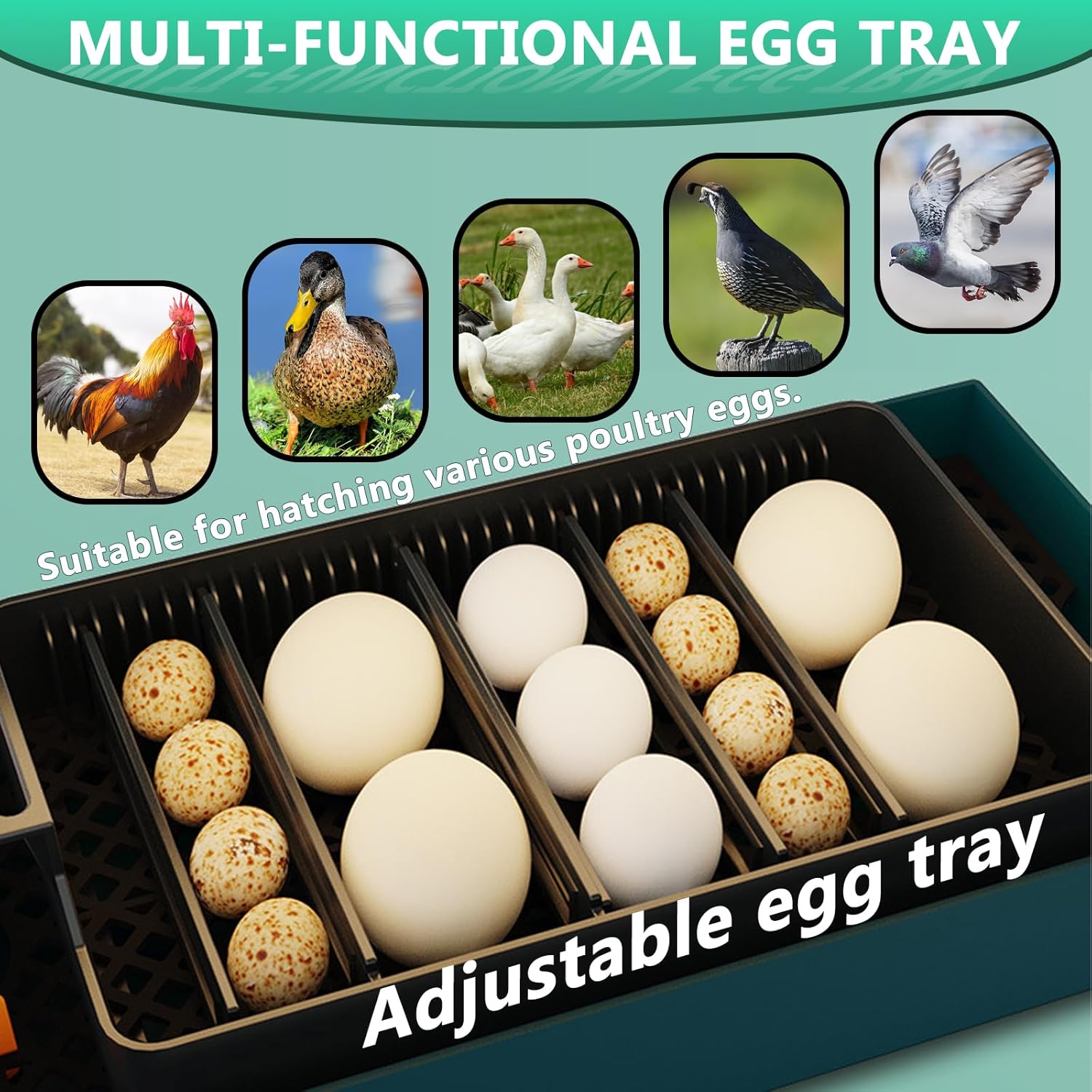 WYD2ANG Incubadoras inteligentes de pollo para incubar huevos con volteador automático, aves, pato, codorniz, incubadora de 12 huevos, pantalla de