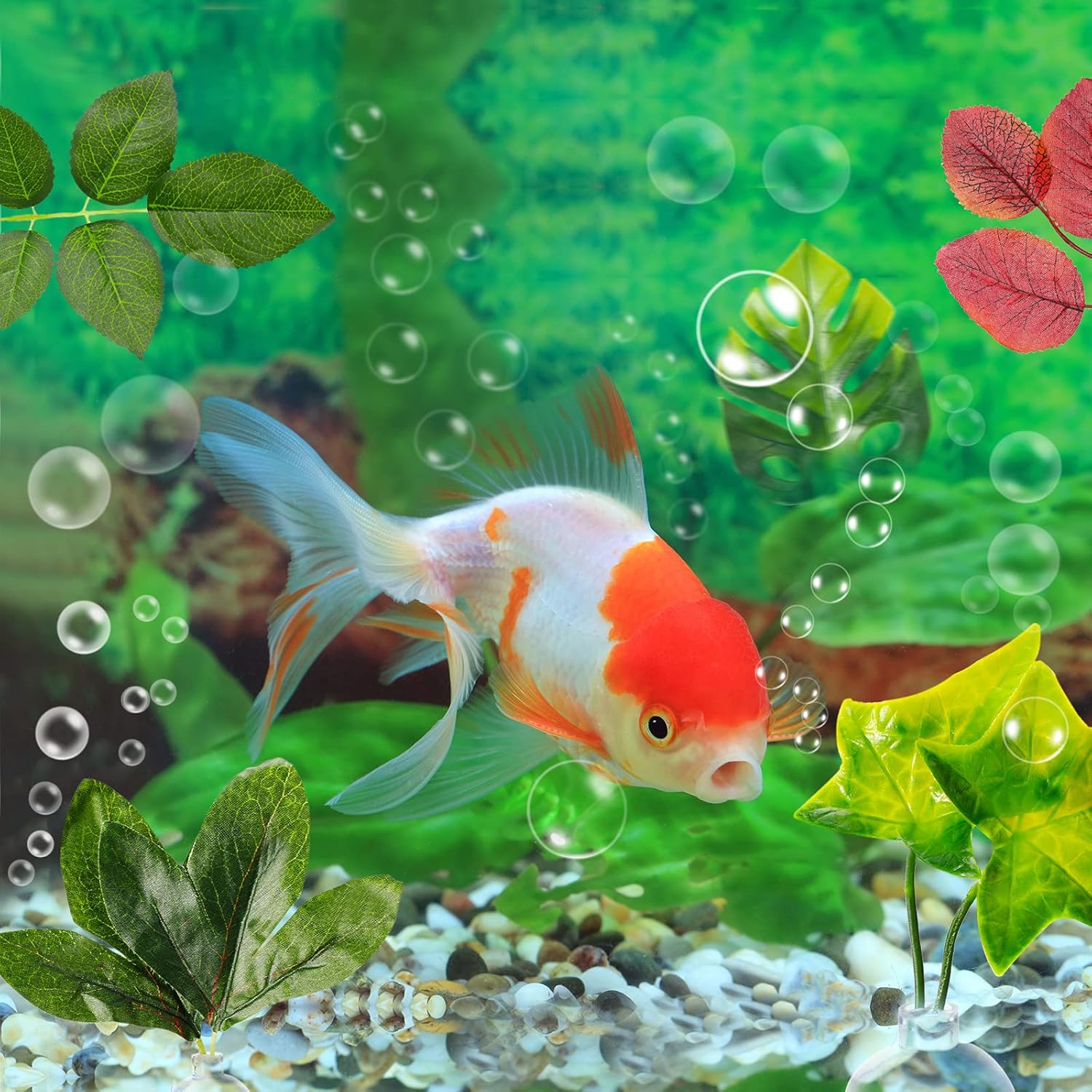 9 piezas Betta Bed Leaf Hamaca Pad Betta Fish Leaf Pad Betta Fish Hamaca Betta Fish Accesorios Decoración de tanques de plantas para lugar de