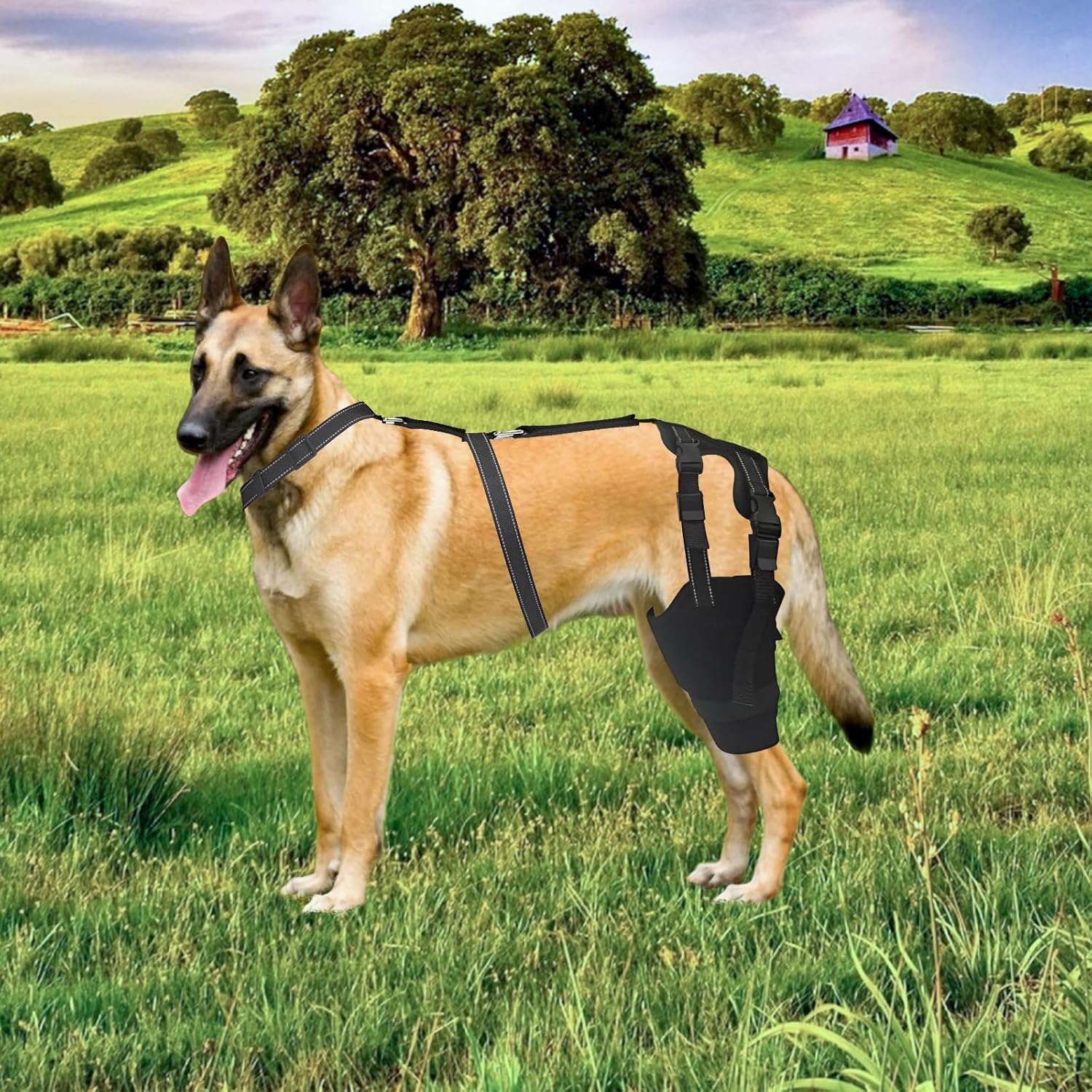 PLKO Rodillera para perro con estabilizadores laterales, soporte para ACL, luxación de la rodillera, artritis, calidez, estabilidad y alivio del