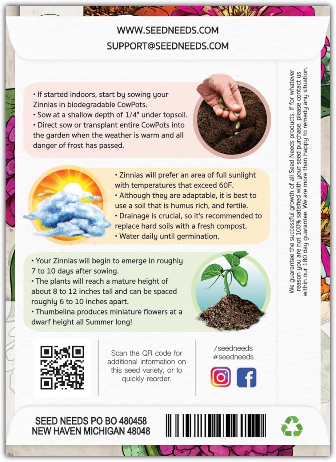 Seed Needs, Thumbelina – Semillas de zinnia – 250 semillas tradicionales para plantar Zinnia elegans – Mezcla de colores para un jardín de