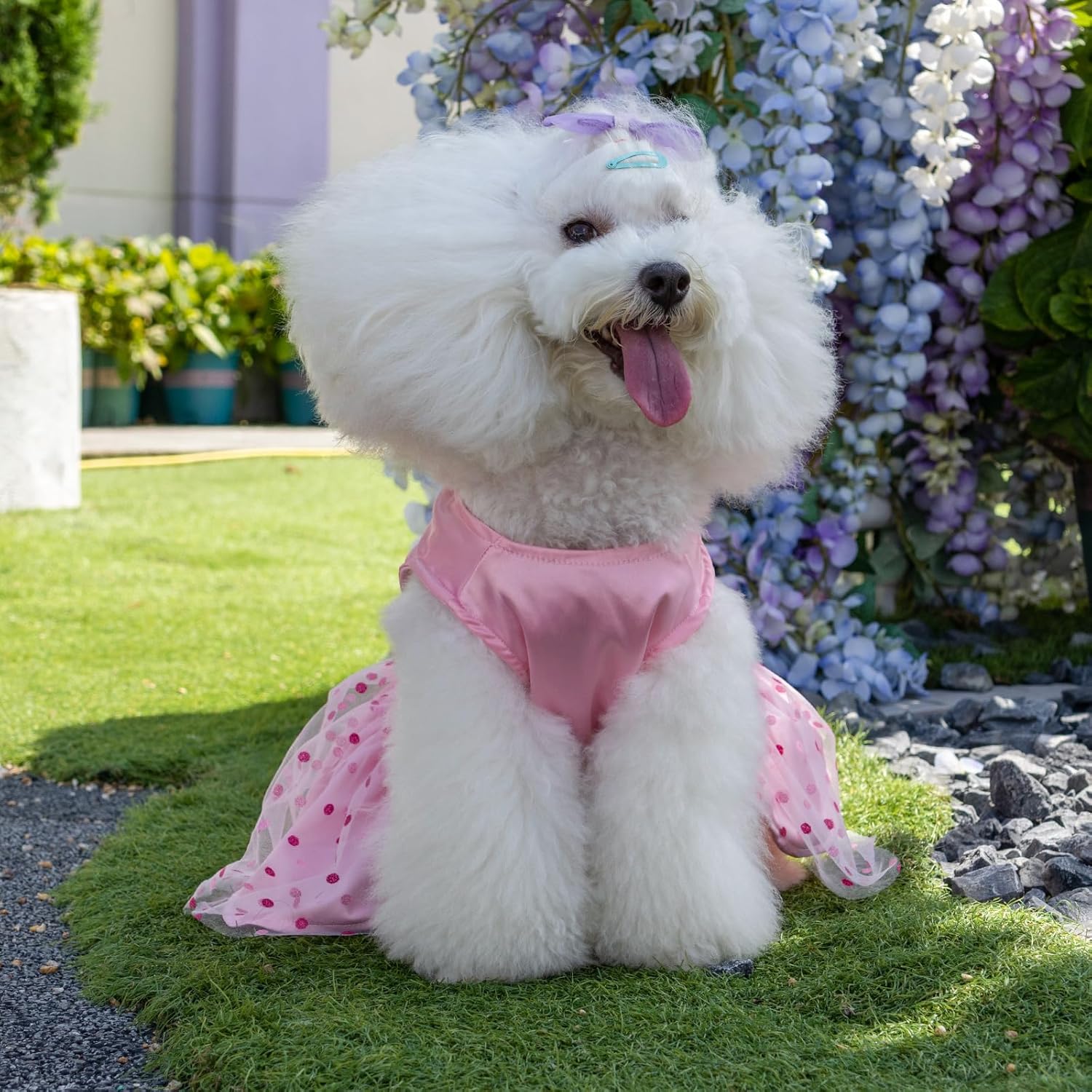 CuteBone Vestido de cumpleaños para niña, ropa de princesa, disfraz de gato, ropa para perros pequeños, traje de mascota DD20S