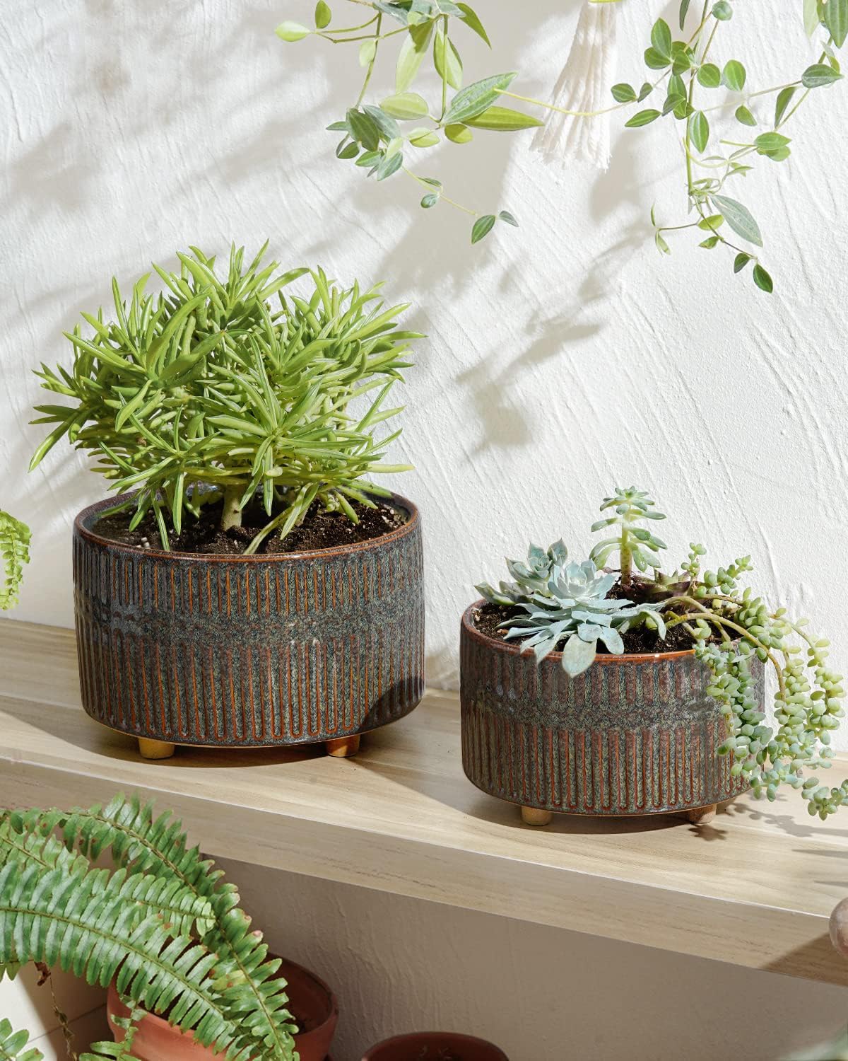 LE TAUCI Macetas para suculentas, maceta de cerámica de interior de 6.5 + 8 pulgadas con orificio de drenaje, moderna maceta decorativa redonda,