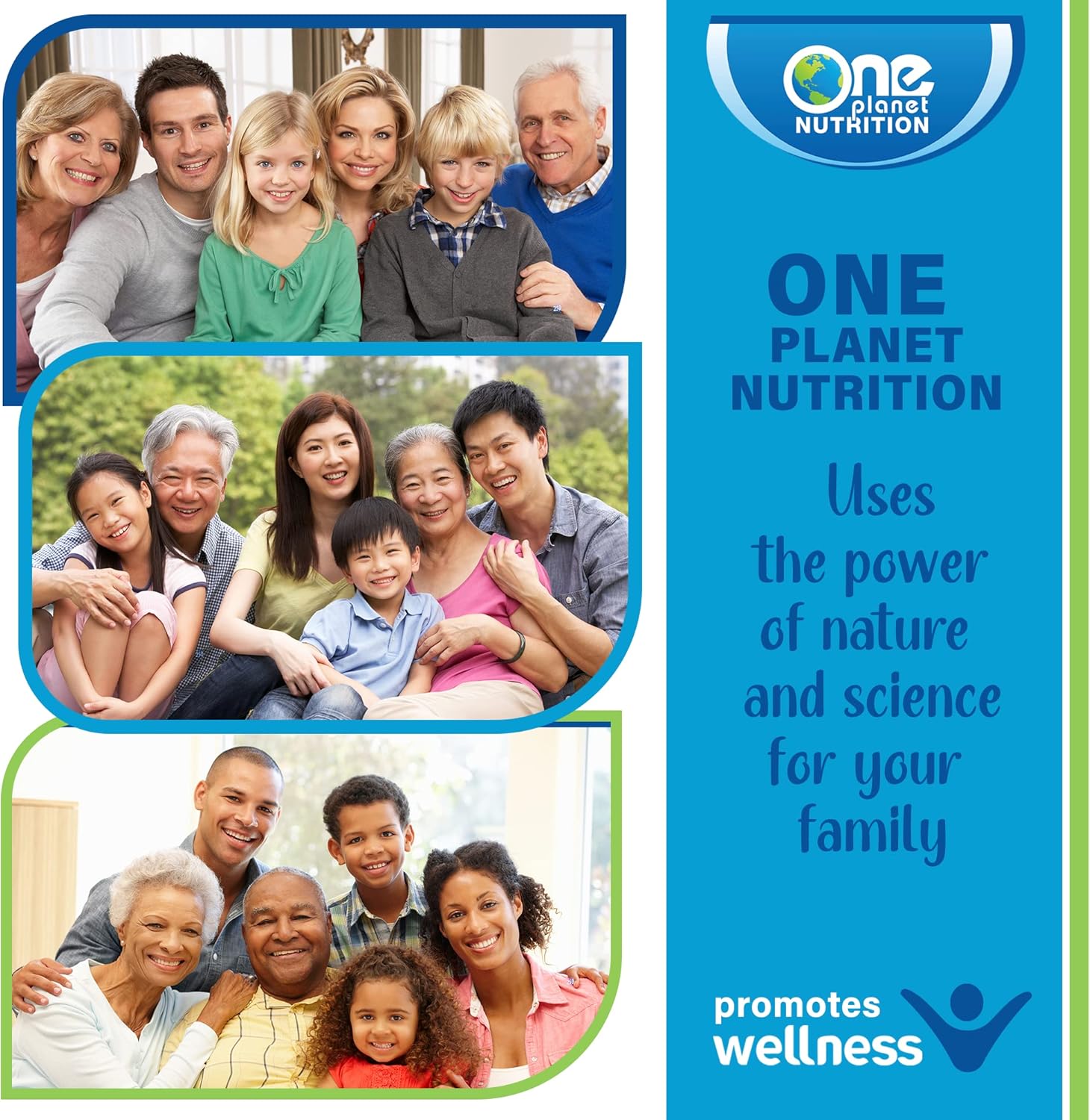 One Planet Nutrition Nano Boswellia 250mg – Suplemento de nanopartículas, suplemento de incienso – Suplementos de apoyo y vitaminas a base de