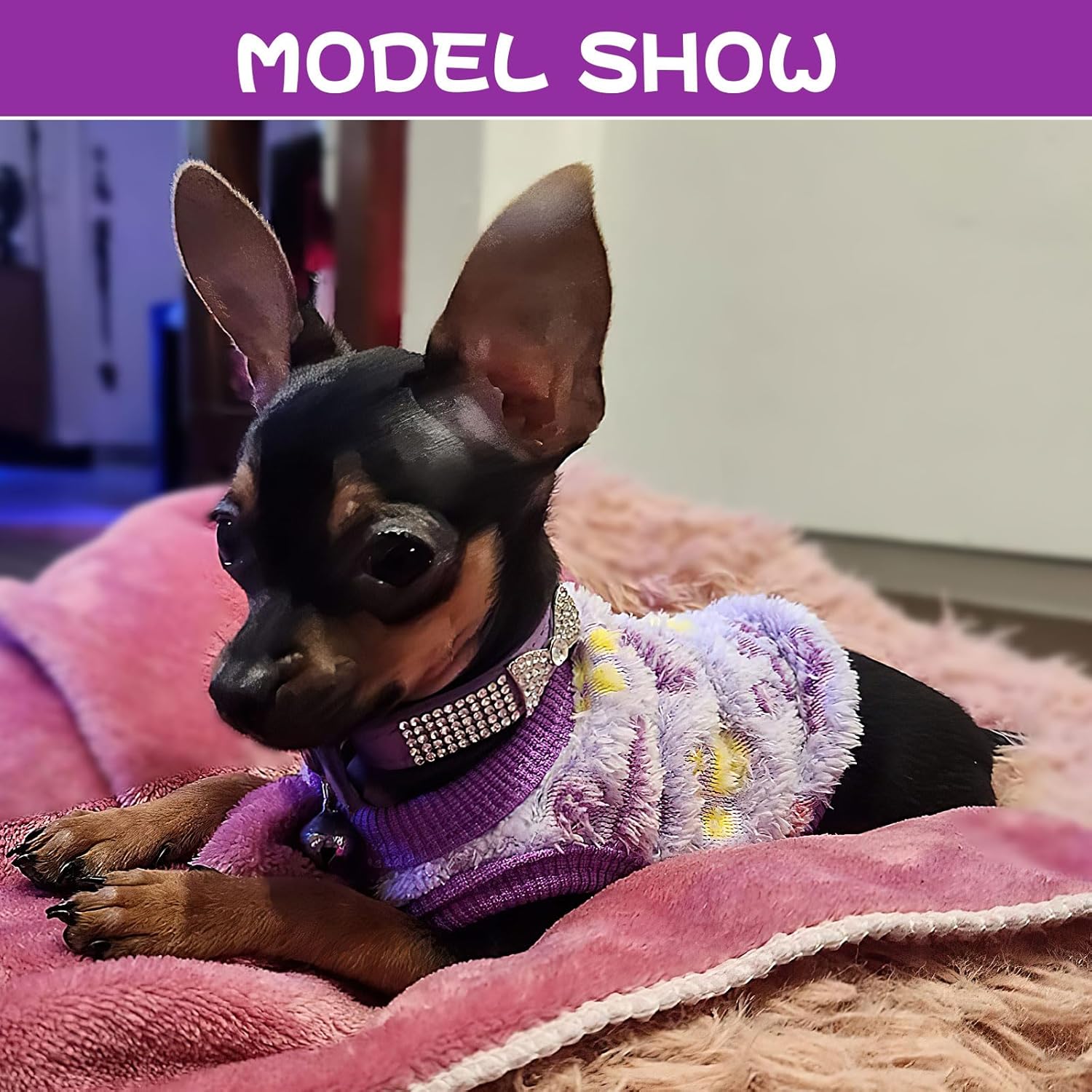 Suéteres de 2 piezas para perros pequeños, ropa de forro polar Chihuahua, XXS  S, suéteres cálidos de invierno para cachorros, trajes de perro