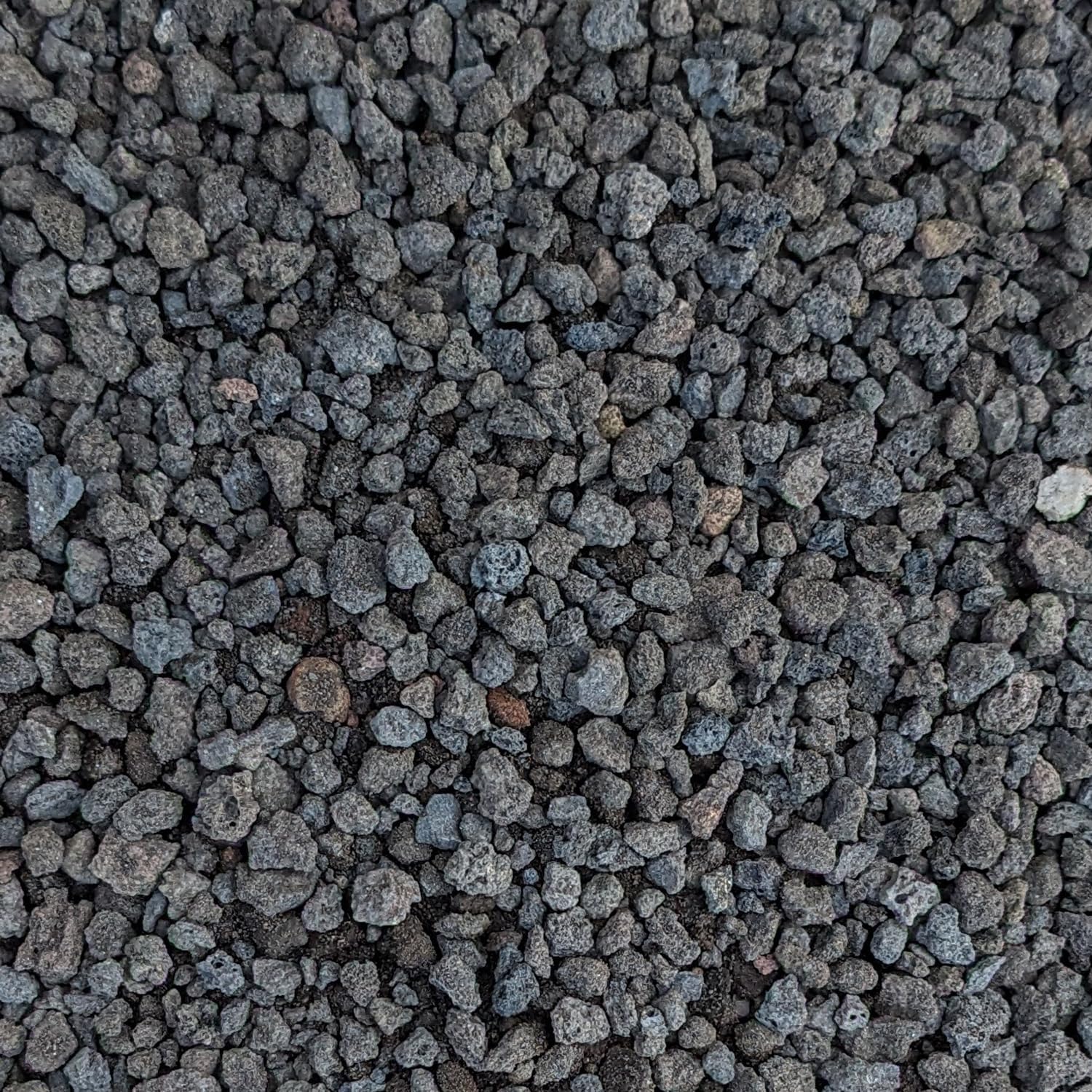 Rocas de lava negra para plantas, roca volcánica hortícola natural (tamaño de 14 de pulgada) (minada en EE. UU.) (bolsa de 2 libras)