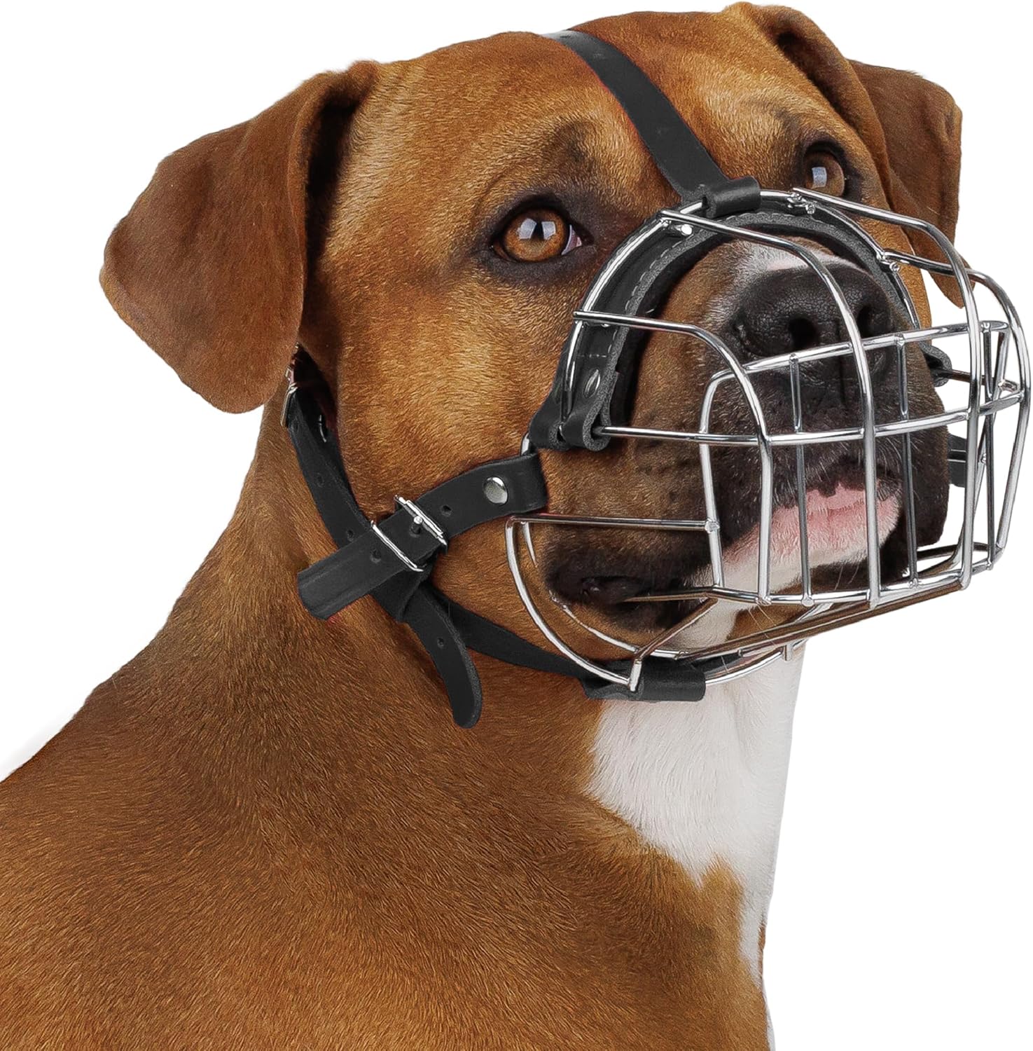 BRONZEDOG Bozal para perros con máscara de metal para perros medianos y grandes (tamaño 4 Pitbull y Amstaff)