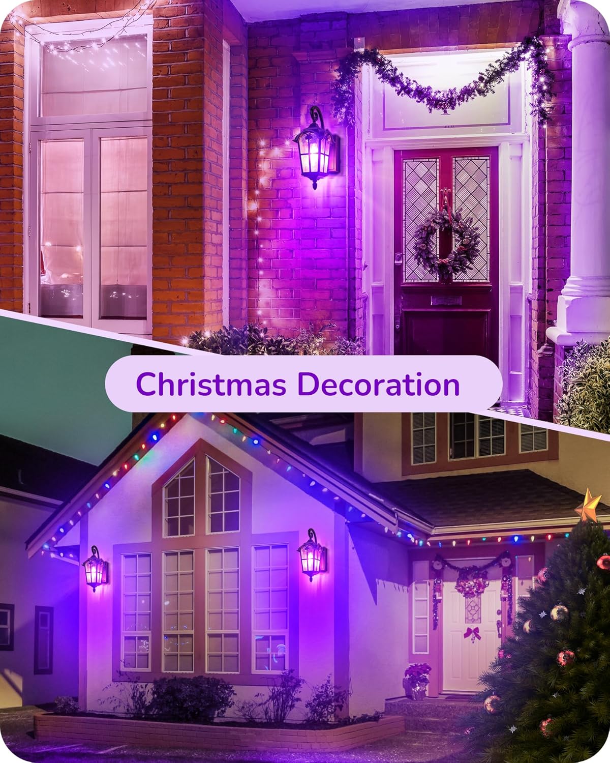 EDISHINE Paquete de 4 bombillas moradas, 8 W A19 regulables, bombilla LED púrpura para Halloween, Navidad, iluminación del hogar, decoración de bar