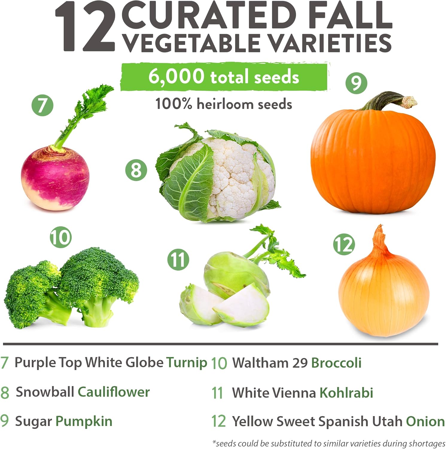 HOME GROWN 12 semillas de vegetales de otoño – Semillas de vegetales de otoño e invierno sin OMG para plantar huerto en casa remolacha, brócoli,