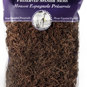 SuperMoss Musgo Español Conservado, Coffee SuperMoss Musgo Español Conservado, Coffee