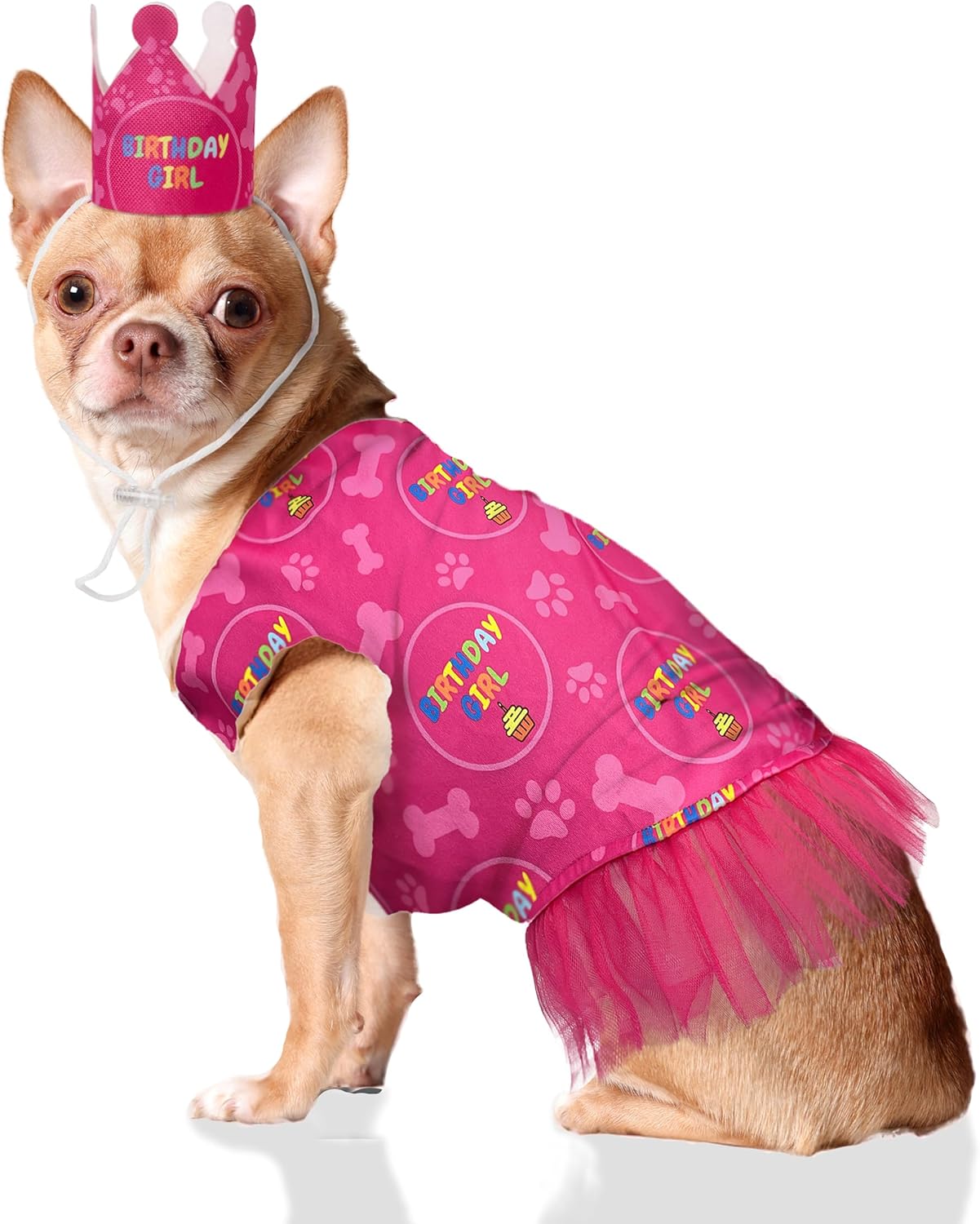 Odi Style Disfraz de cumpleaños para niña, suministros para fiesta de cumpleaños para perro, sombrero de fiesta de perro, corona y vestido de