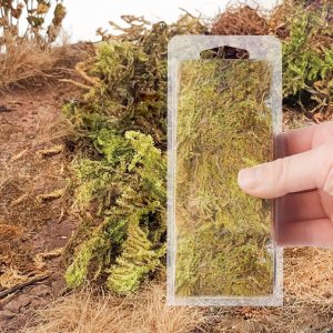 Warmtree Simulación de hierba verde musgo artificial miniatura estático hierba modelo de hierba Tufts ferrocarril césped artificial para tren Warmtree Simulación de hierba verde musgo artificial miniatura estático hierba modelo de hierba Tufts ferrocarril césped artificial para tren