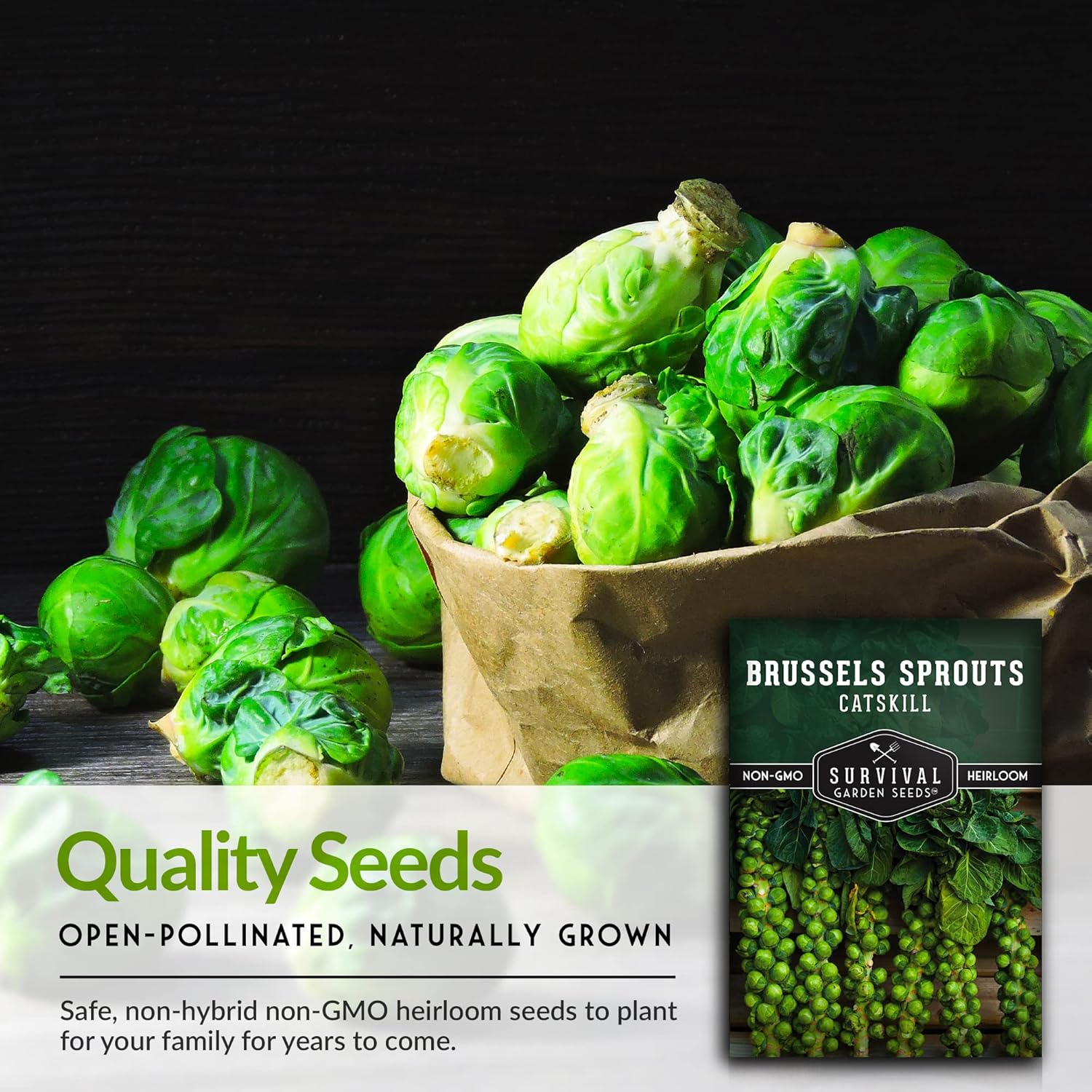 Survival Garden Seeds – Semillas de coles de Bruselas Catskill para plantar – 5 paquetes con instrucciones para plantar y cultivar sabrosas verduras