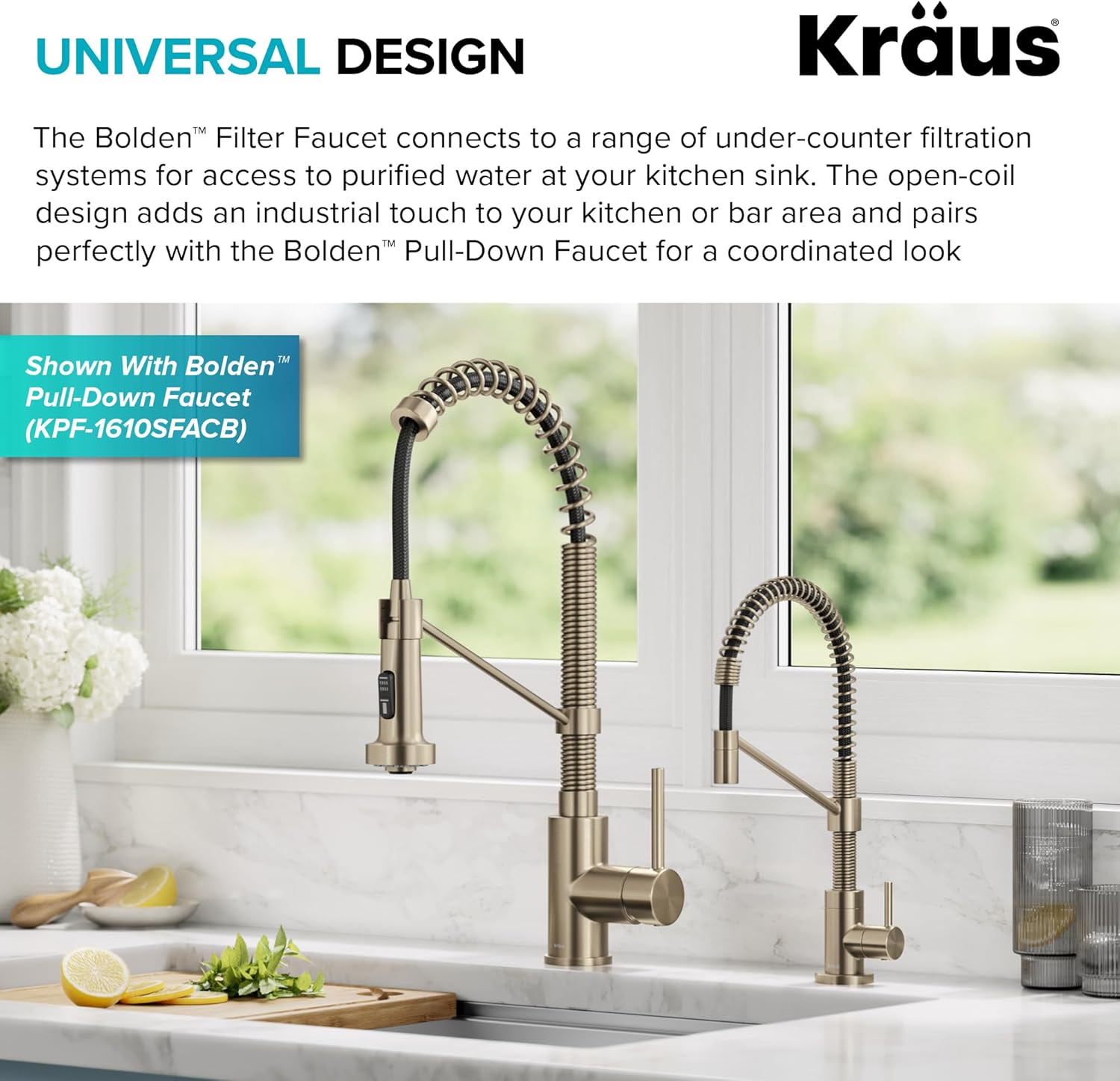 KRAUS Bolden Grifo de filtro de agua potable de una sola manija para ósmosis inversa o sistema de filtración de agua en bronce champán antiguo sin