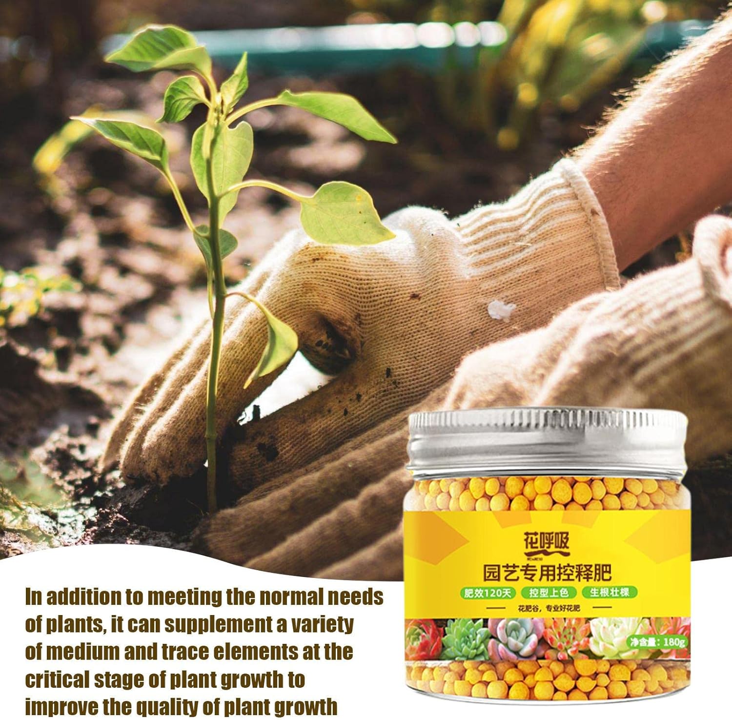 Plumeria Fertilizer  Fertilizante de mirto crepé – Fertilizante para árboles con elementos medios y oligoelementos, adecuado para todas las etapas