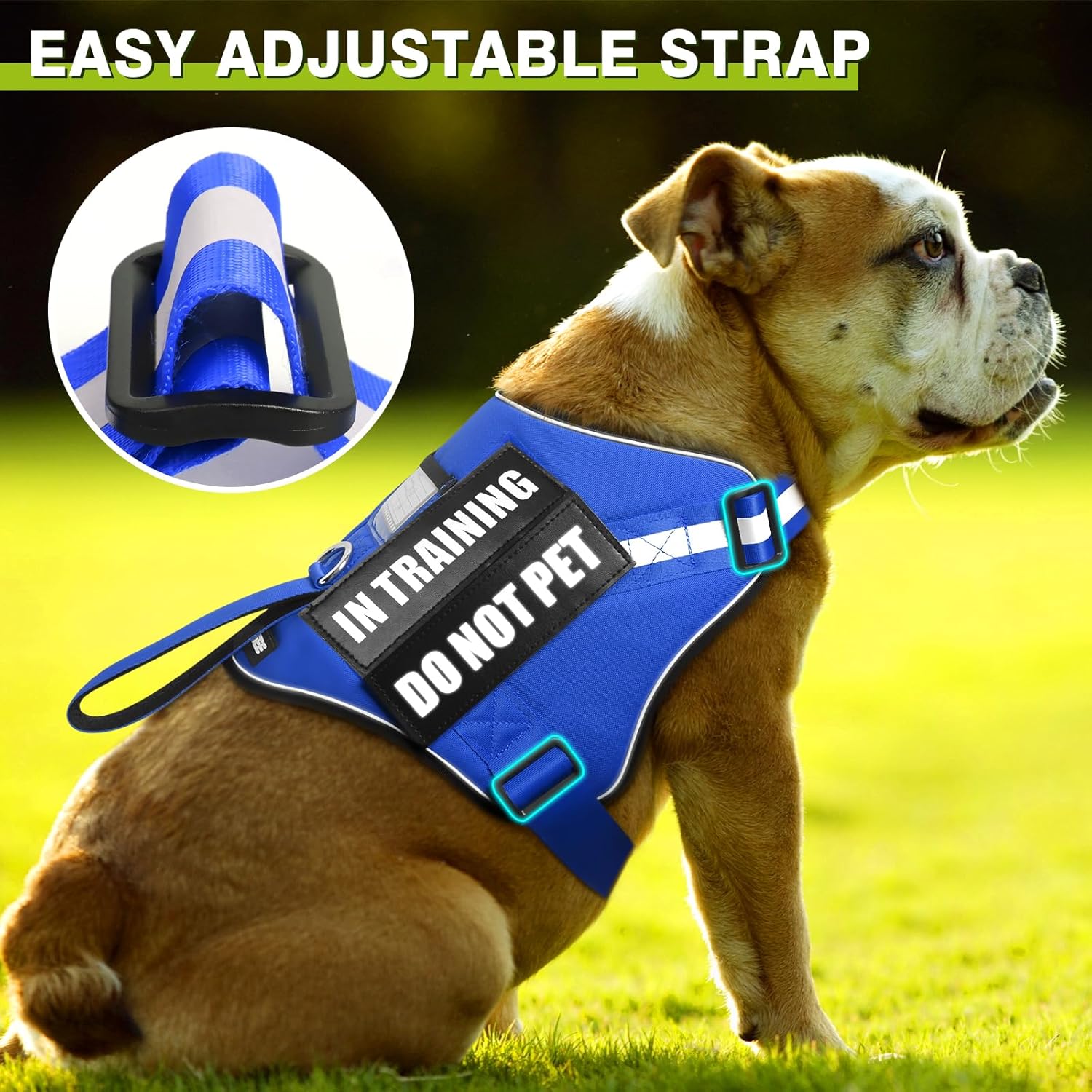 Juego de arnés y correa para perro, chaleco de entrenamiento para perro con 10 parches de velcro, arnés de chaleco de terapia de apoyo emocional