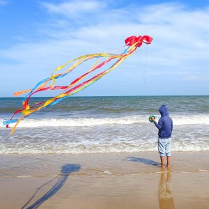 Mint’s Colorful Life Octopus Kite for Kids and Adults, Large Frameless Soft Parafoil Kites, Huge Easy Flyer Kites for Beach Trip & Outdoor Activities Mint’s Colorful Life Octopus Kite for Kids and Adults, Large Frameless Soft Parafoil Kites, Huge Easy Flyer Kites for Beach Trip & Outdoor Activities