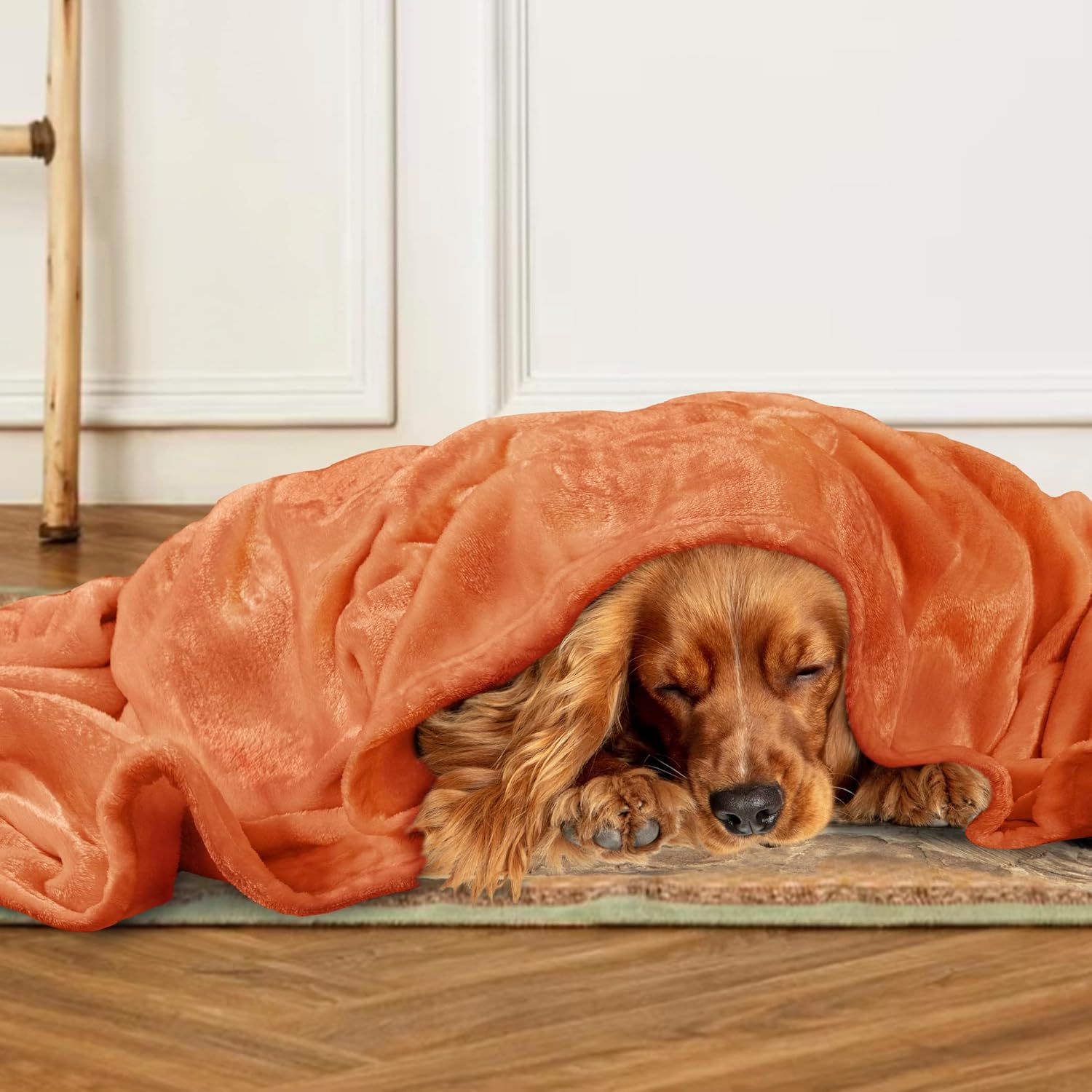PAVILIA Manta de forro polar naranja para sofá, manta de franela suave y mullida de otoño para sofá, manta de cama de microfibra de felpa de lujo,
