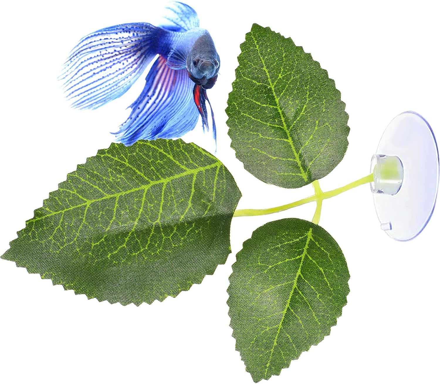 9 piezas Betta Bed Leaf Hamaca Pad Betta Fish Leaf Pad Betta Fish Hamaca Betta Fish Accesorios Decoración de tanques de plantas para lugar de