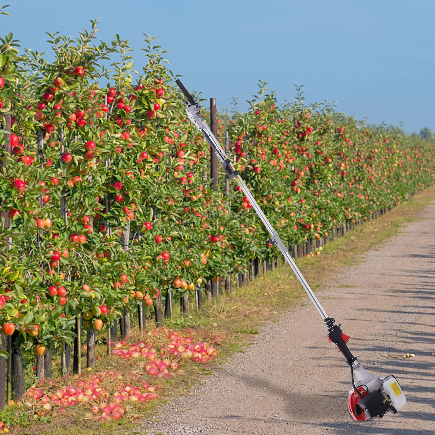 Recogedor de frutas vibratorio, alimentado por gasolina, motor de dos tiempos de 43 cc para aceitunas, nueces, granos de café