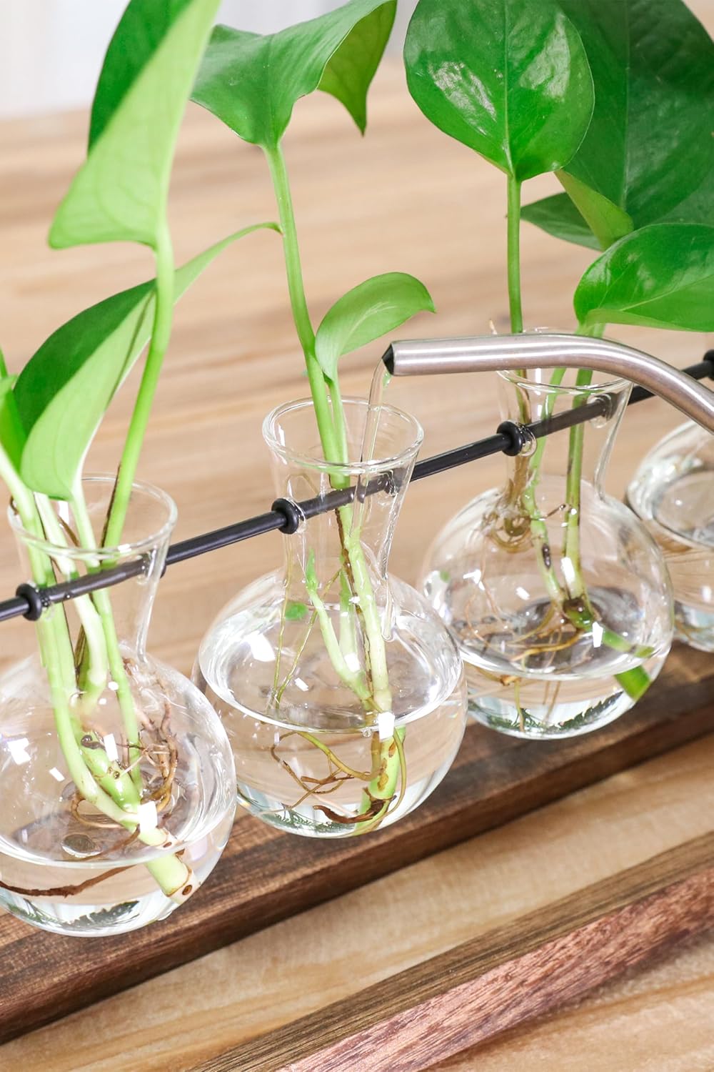 Ivolador – Estación de propagación de escritorio, terrario de plantas con soporte retro de madera maciza y soporte giratorio de metal para plantas